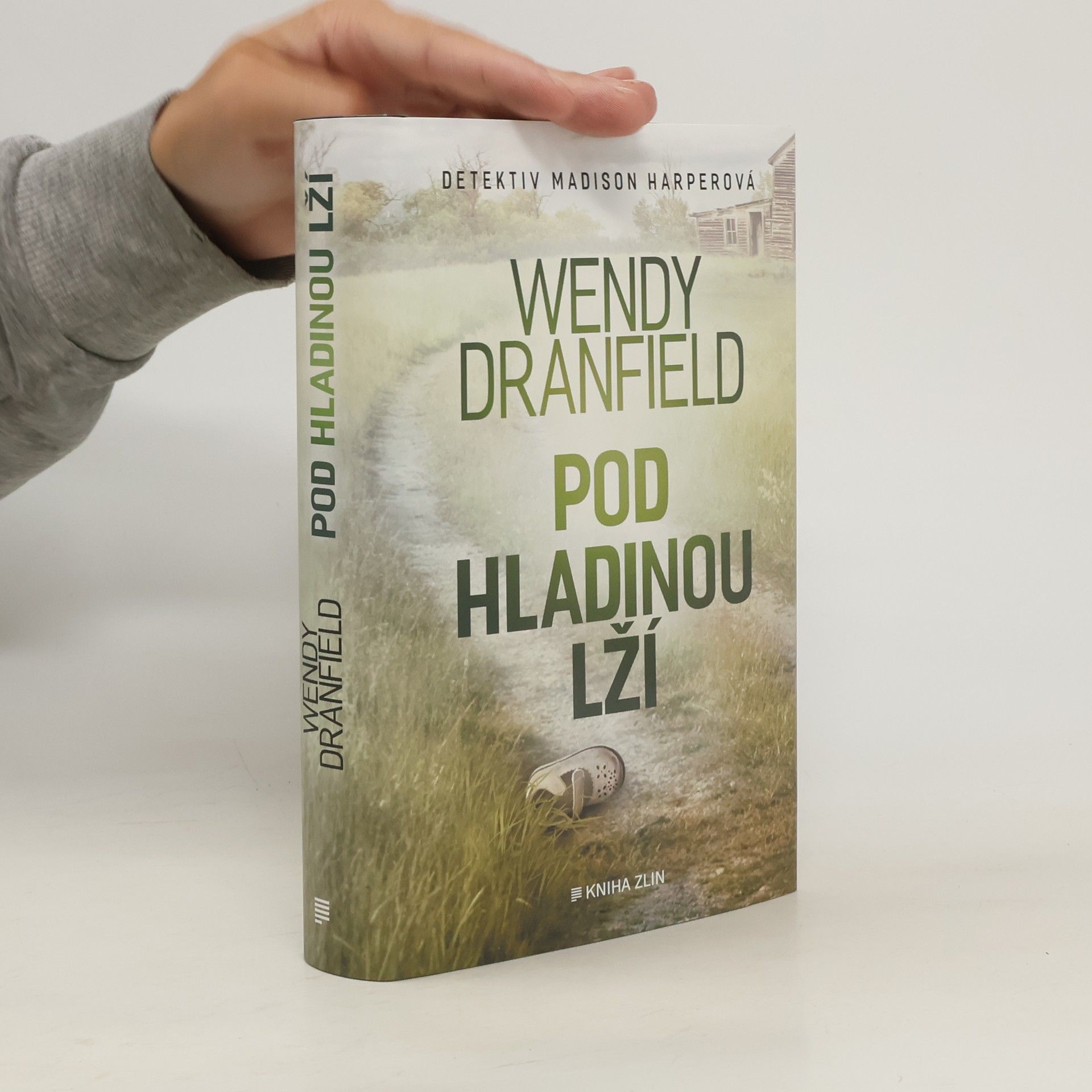 Wendy Dranfield Pod hladinou lží