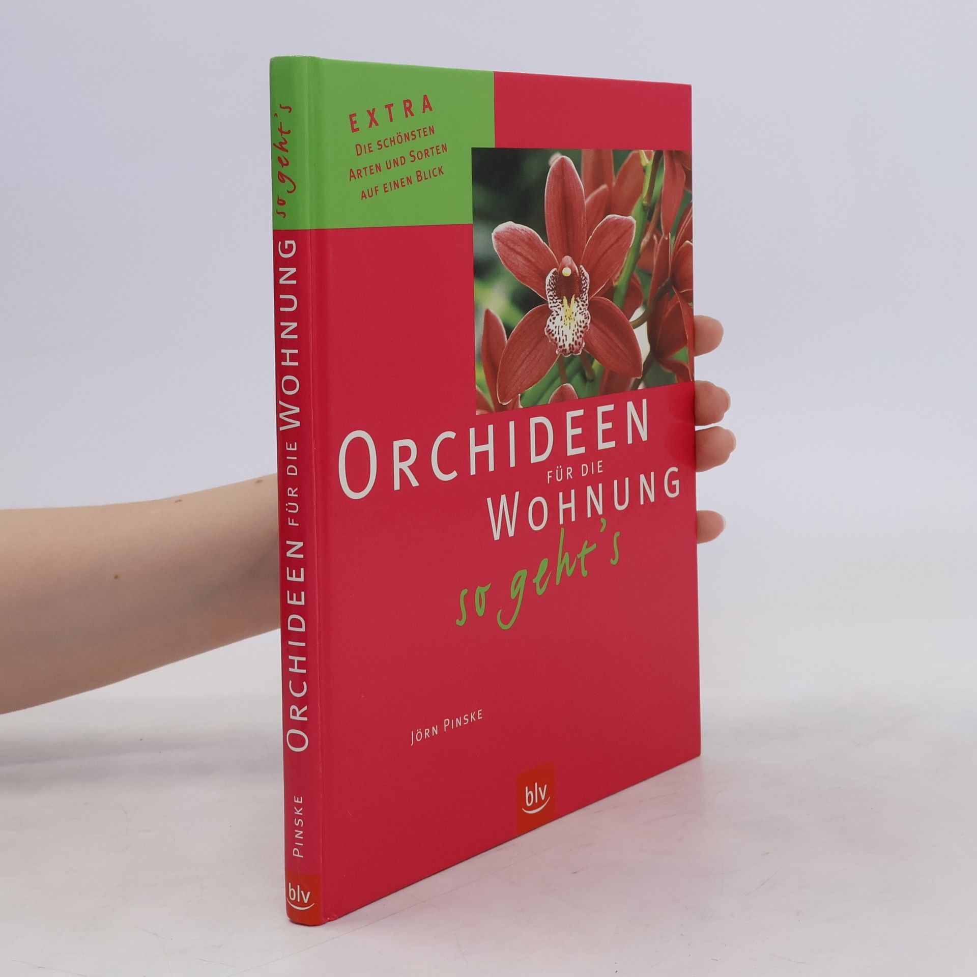 Jörn Pinske Orchideen für die Wohnung - so geht's