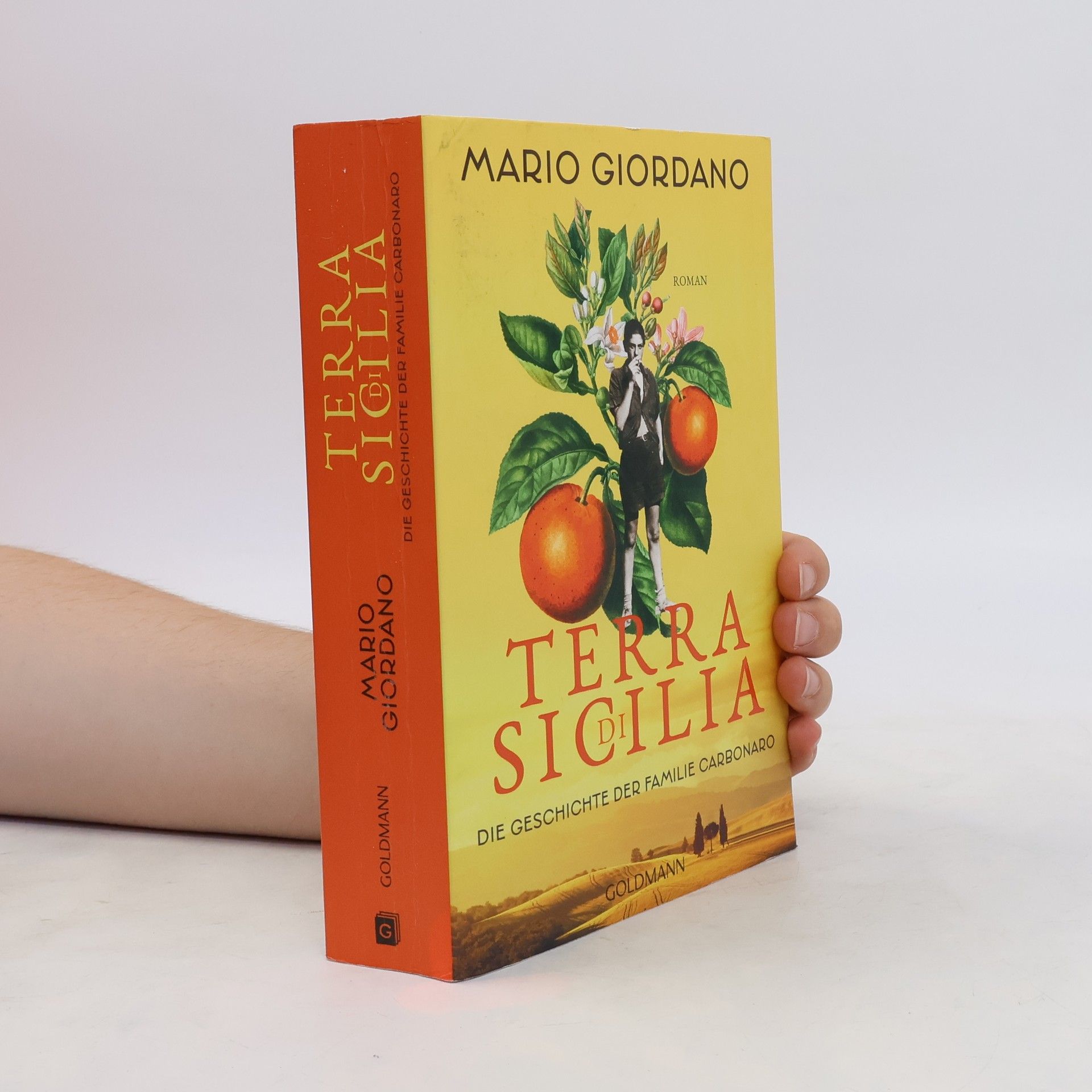 Mario Giordano Terra di Sicilia. Die Geschichte der Familie Carbonaro