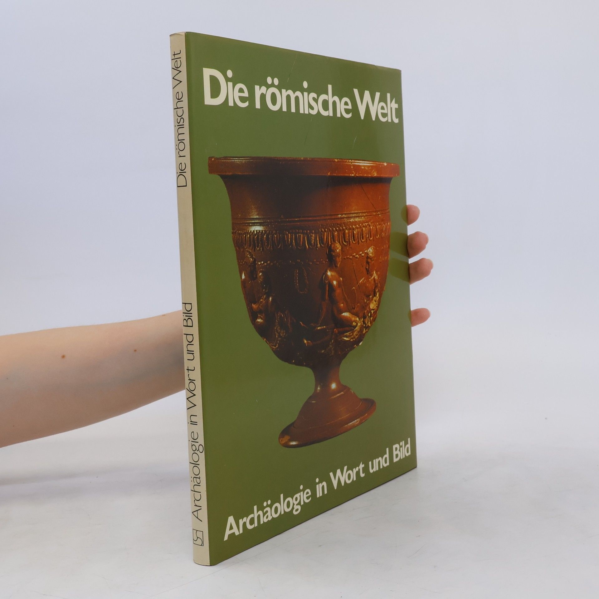 Michael Vickers Die römische Welt
