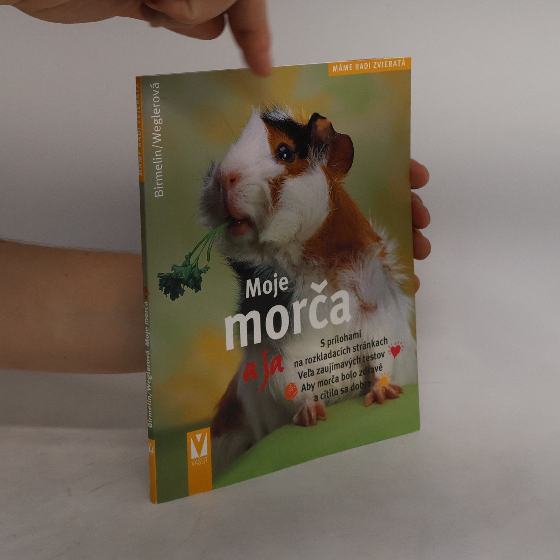 Immanuel Birmelin Moje morča a ja