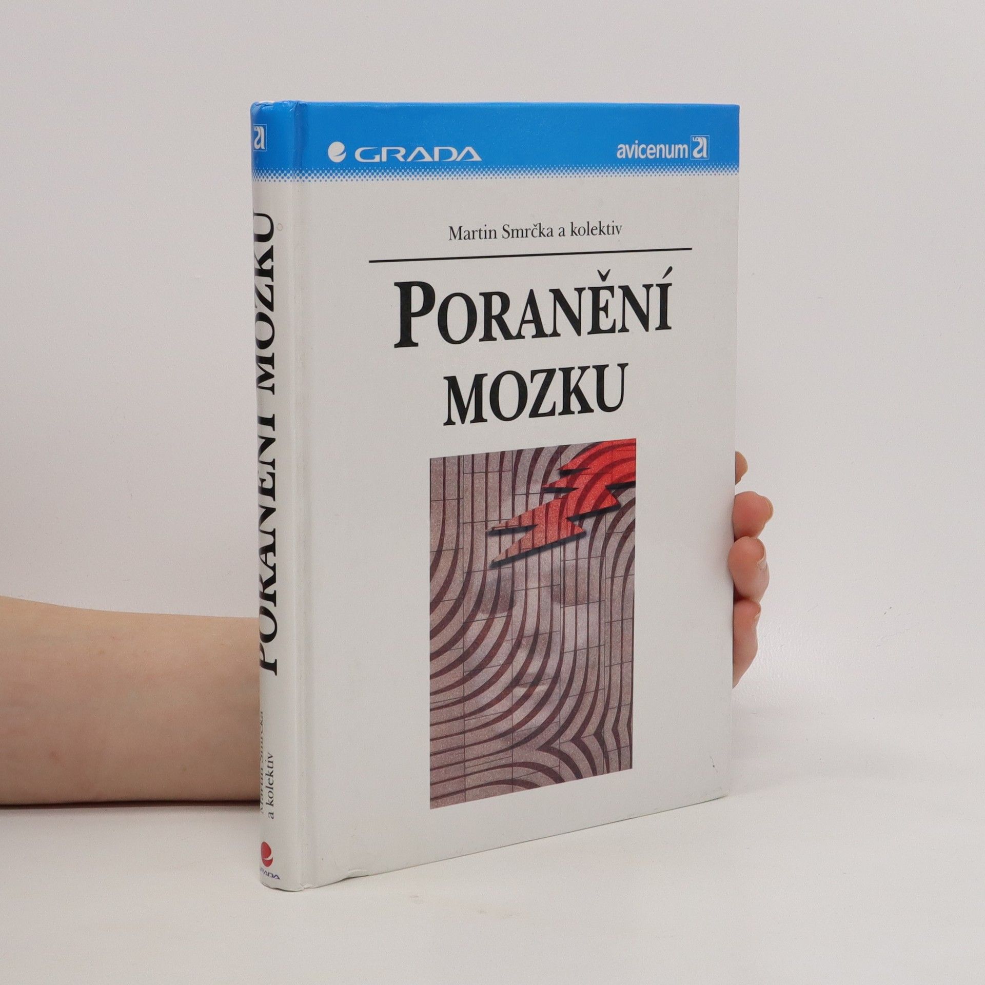 Martin Smrčka Poranění mozku