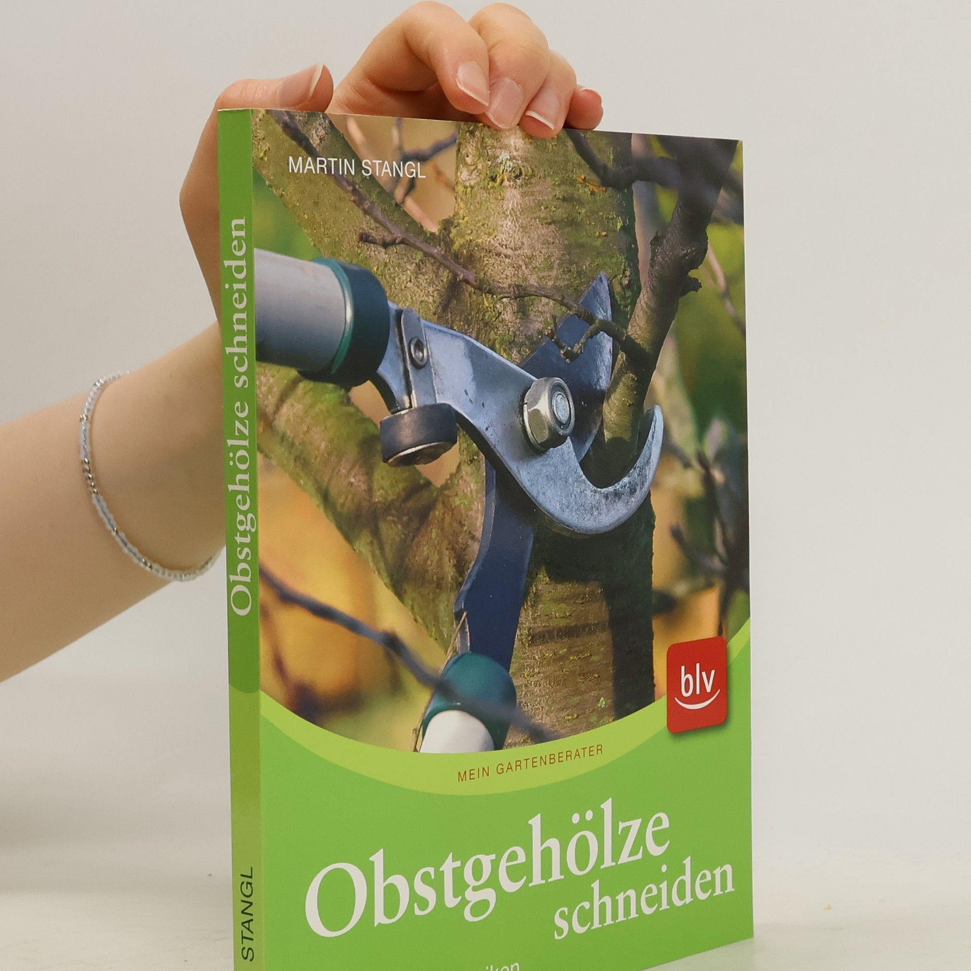 Martin Stangl Obstgehölze schneiden