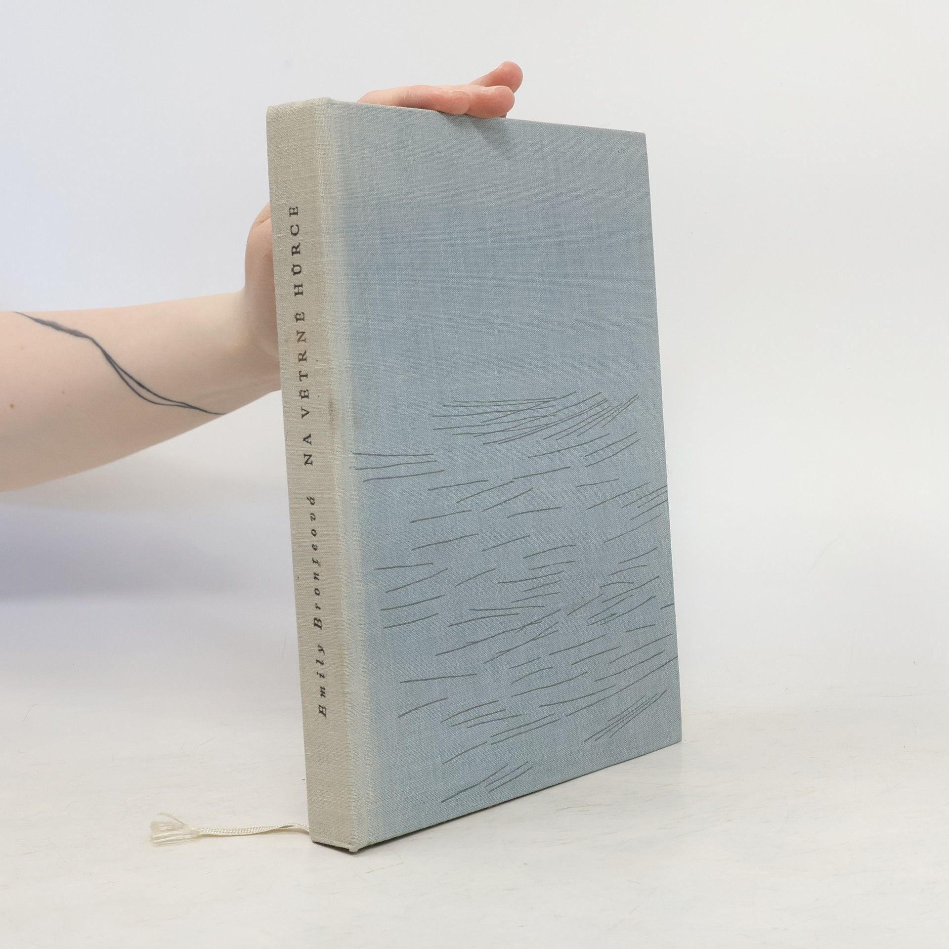 Emily Brontë Na Větrné hůrce