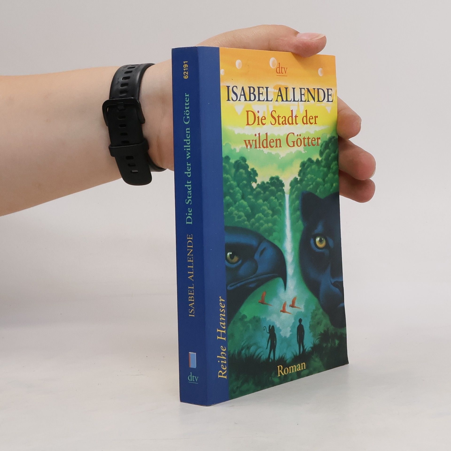 Isabel Allende Die Stadt der wilden Götter
