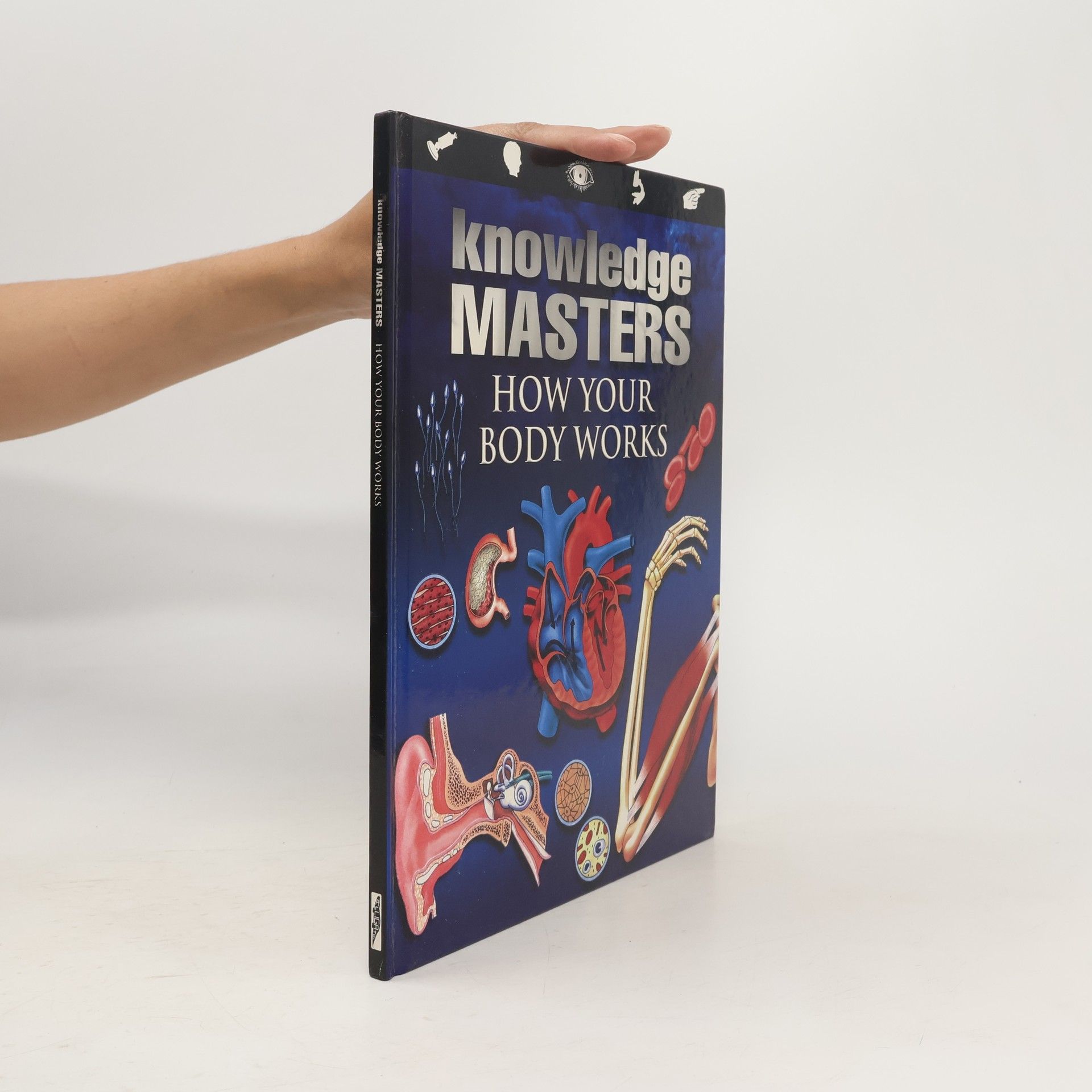 Christopher Maynard How Your Body Works