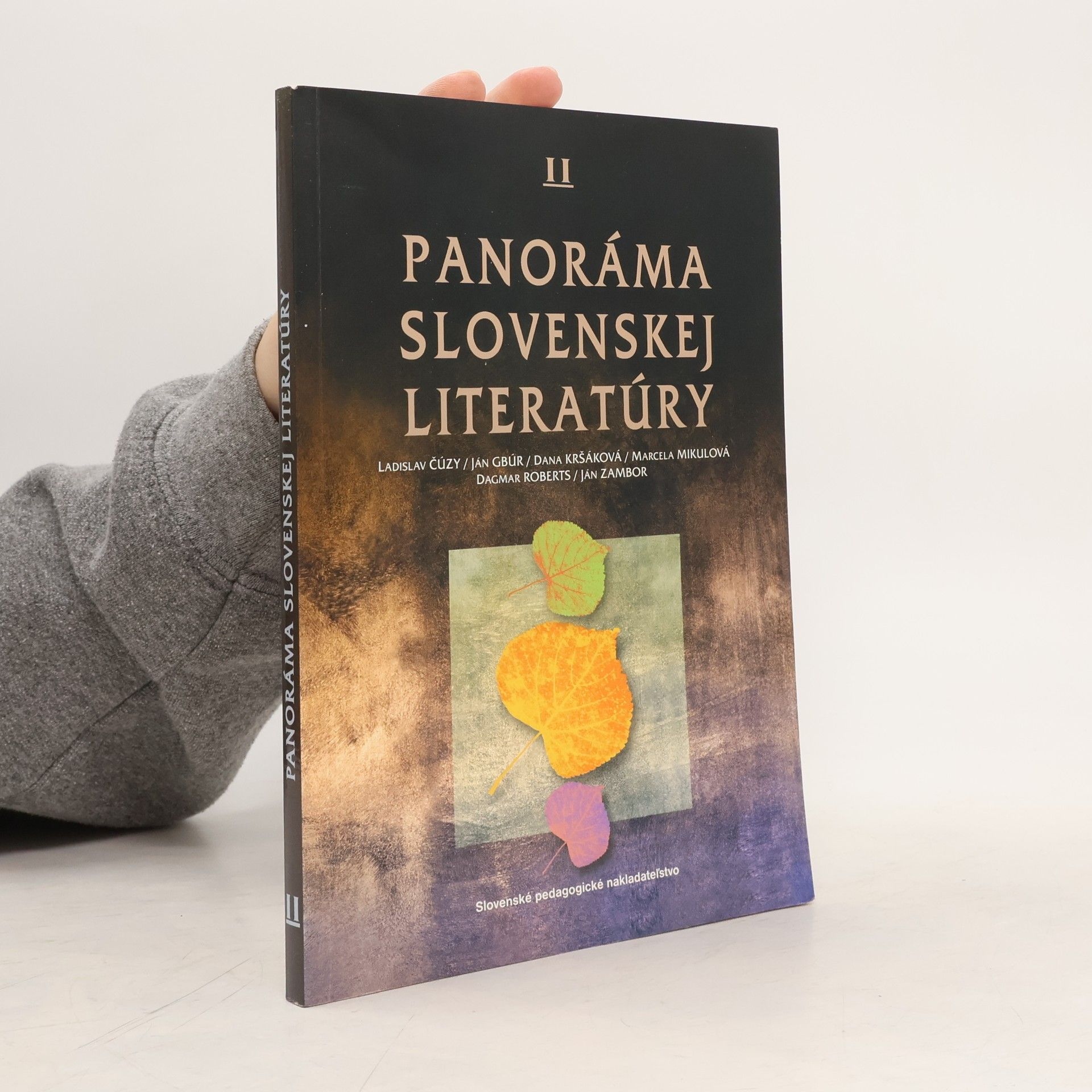 Autorenkollektiv Panoráma slovenskej literatúry II