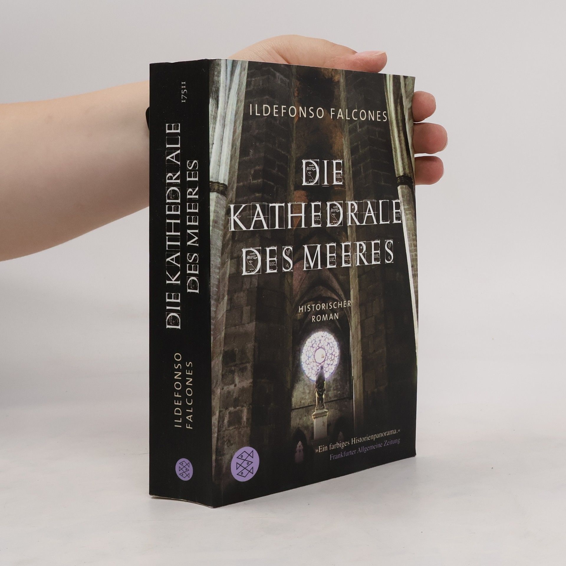 Ildefonso Falcones Die Kathedrale des Meeres