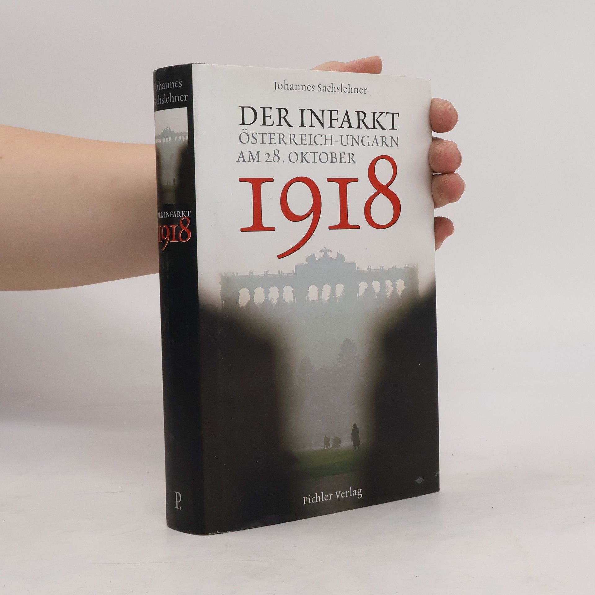 Johannes Sachslehner Der Infarkt