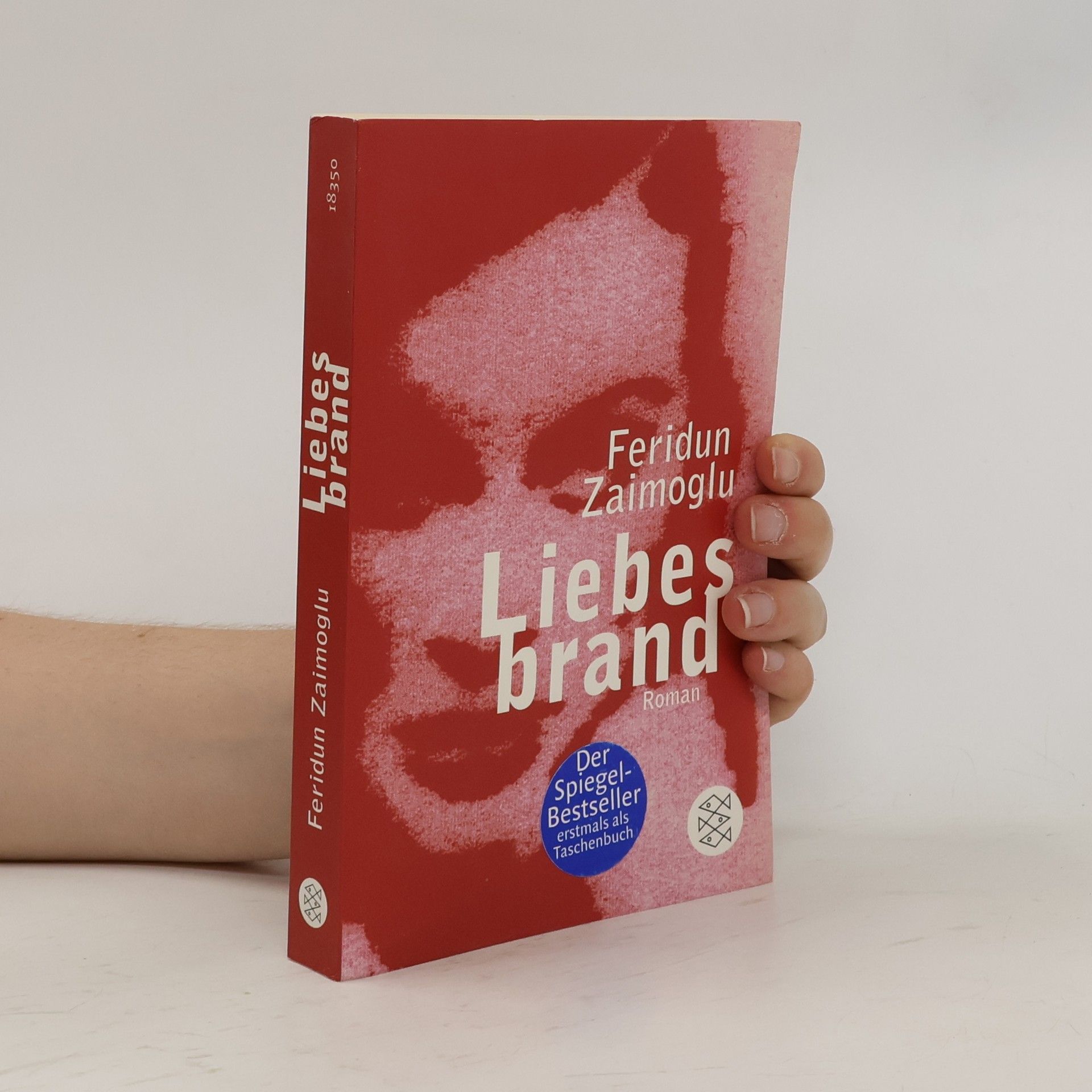 Feridun Zaimoğlu Liebesbrand