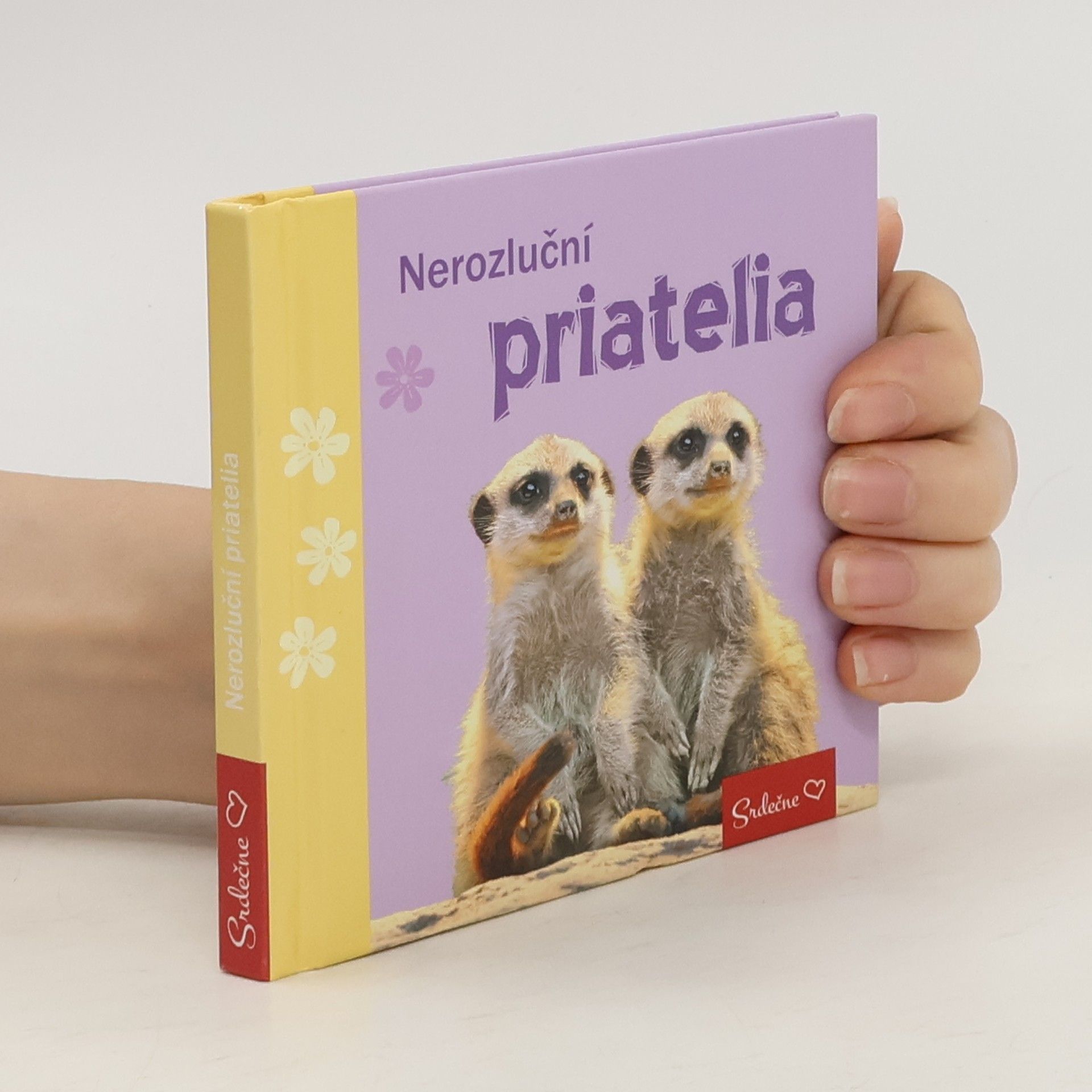 Autorenkollektiv Nerozluční priatelia