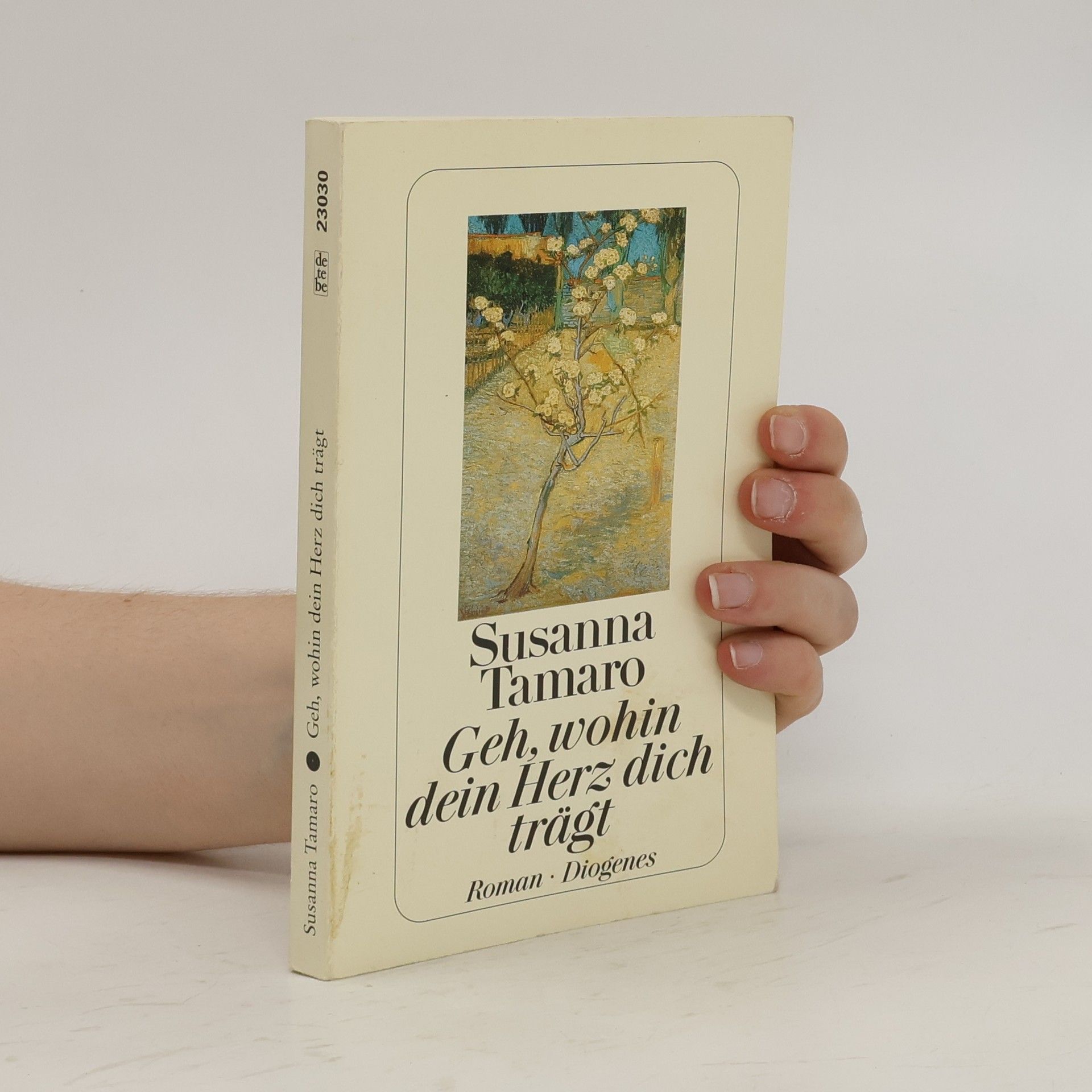 Susanna Tamaro Geh, wohin dein Herz dich trägt