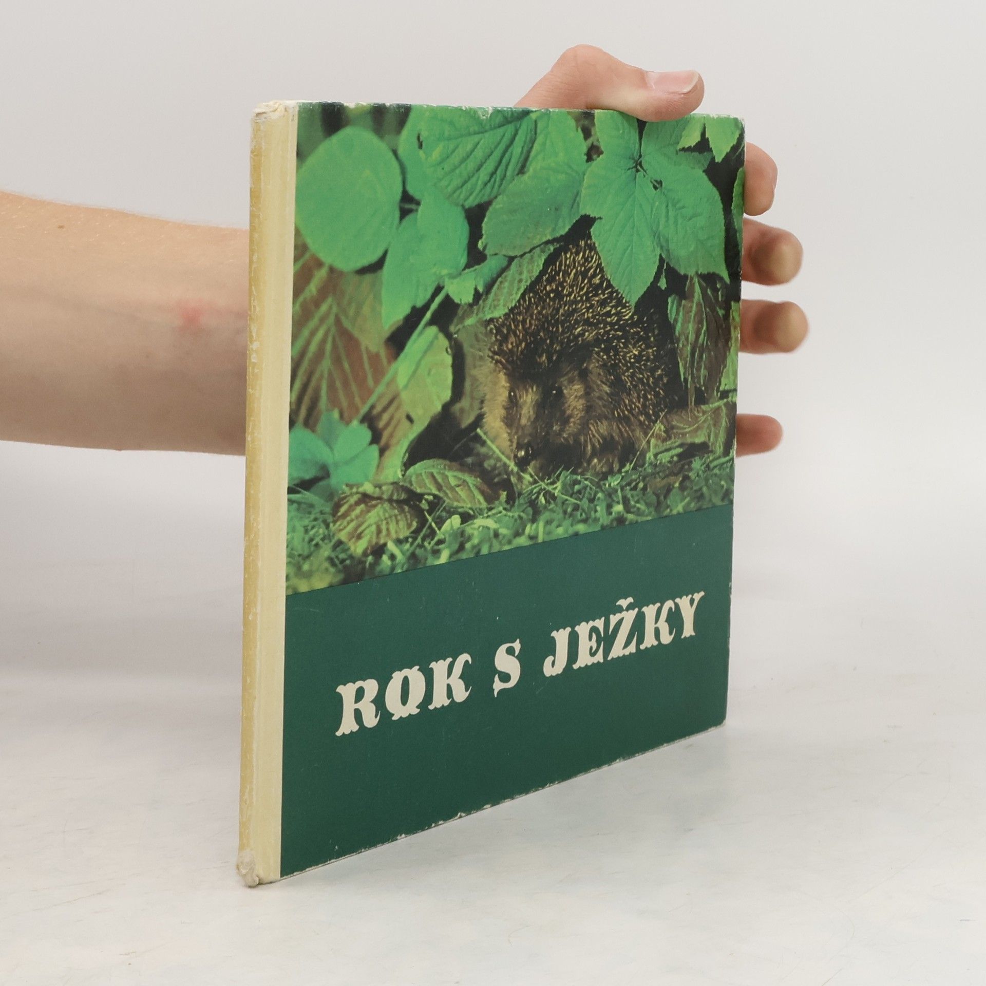 Friedrich W. Stöcker Rok s ježky