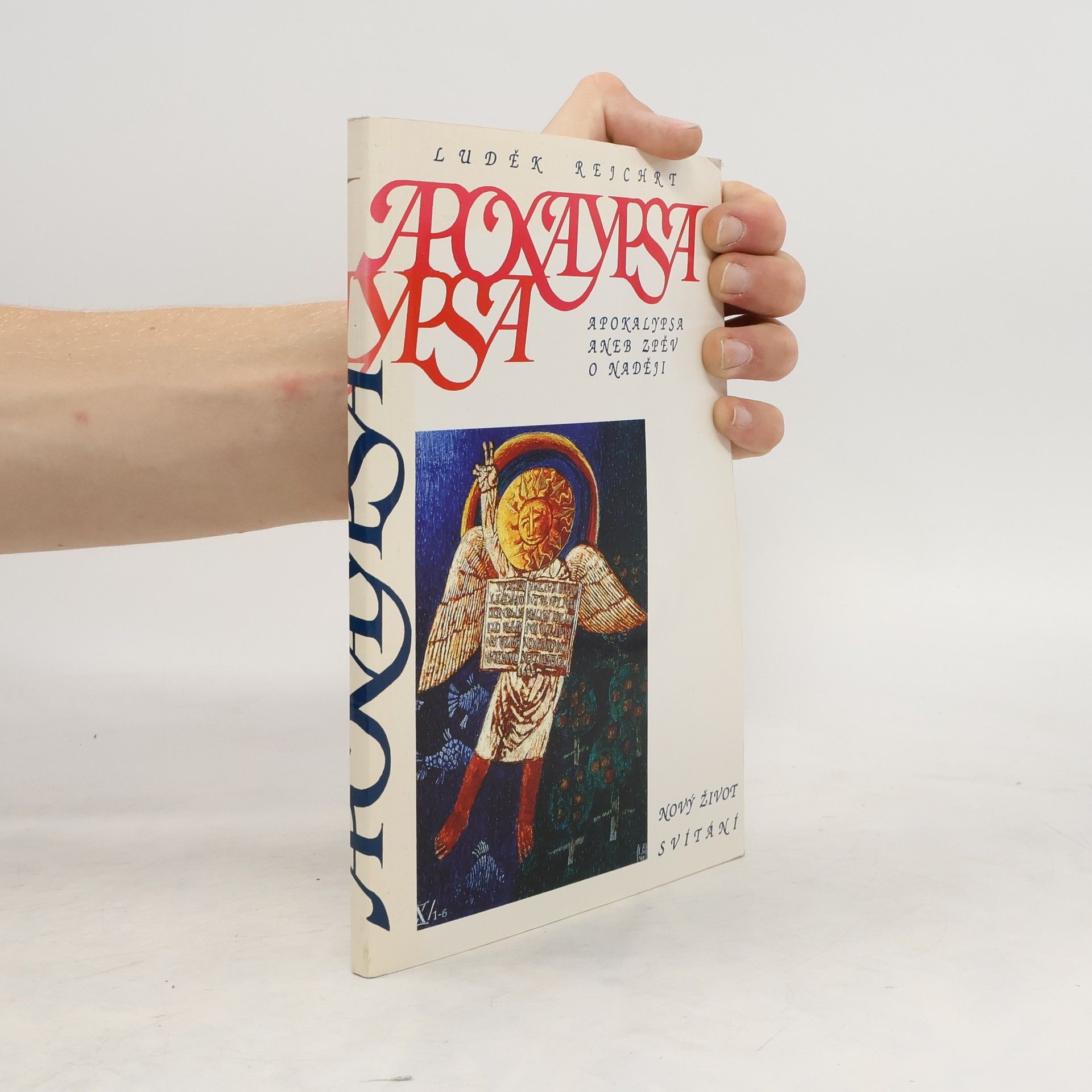 Autorenkollektiv Apokalypsa aneb Zpěv o naději