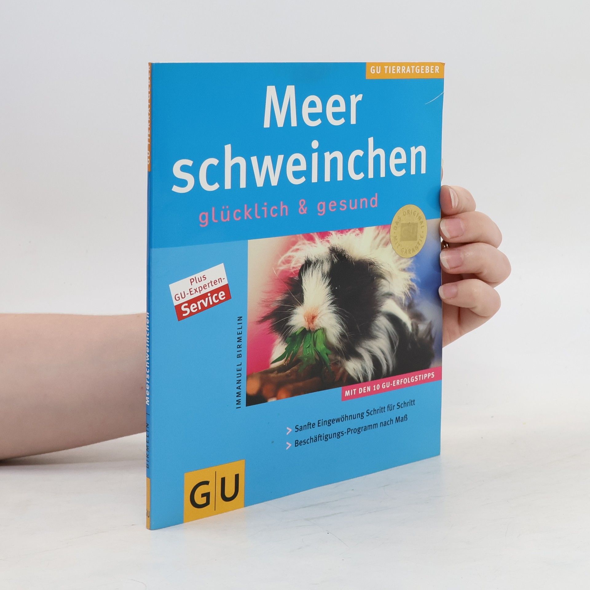 Autorenkollektiv Meer Schweinchen