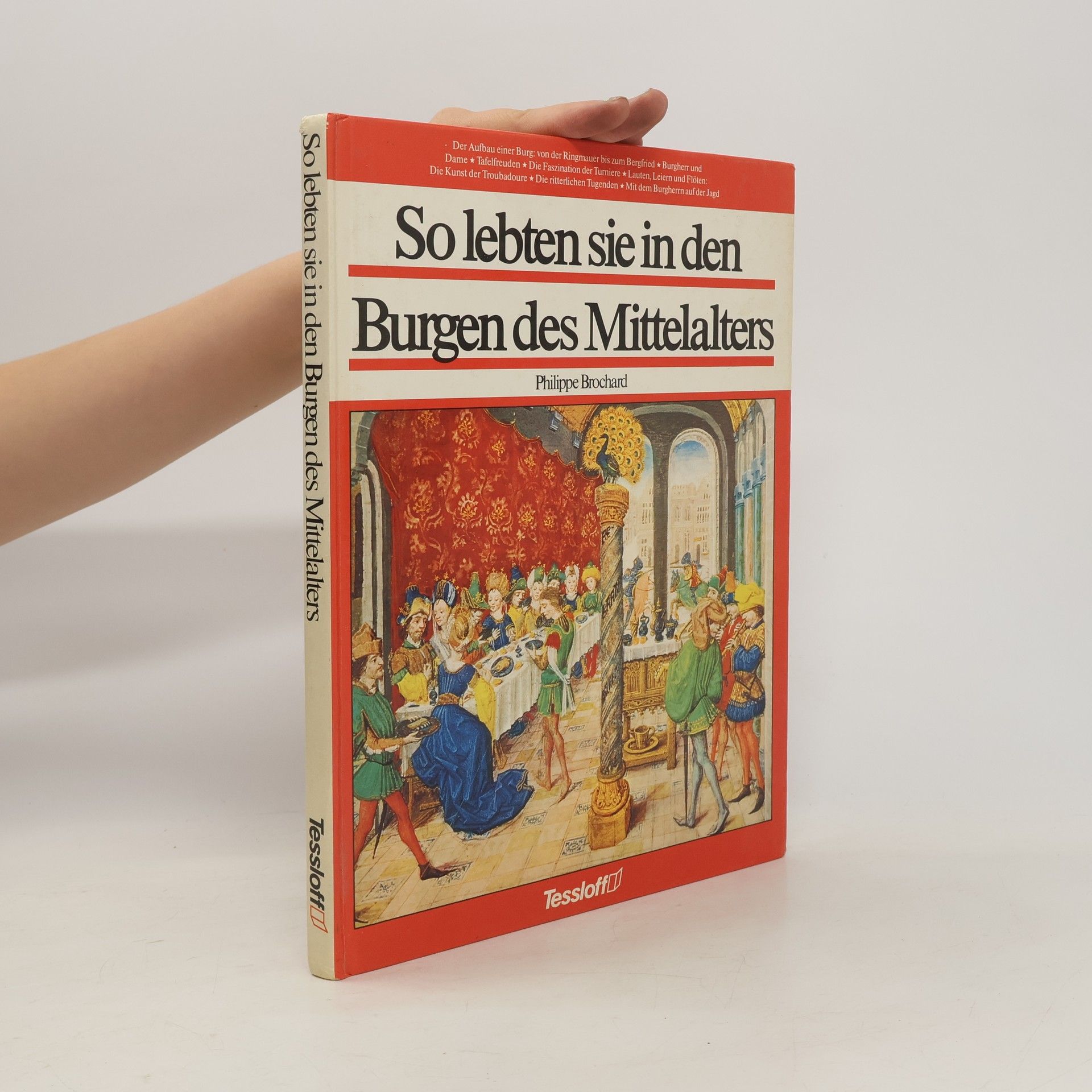 Patrice Pellerin So lebten sie in den Burgen des Mittelalters