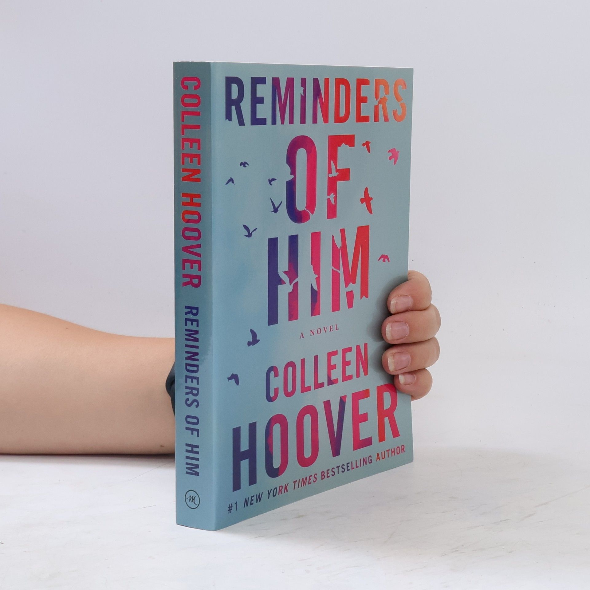 Colleen Hoover Reminders of him