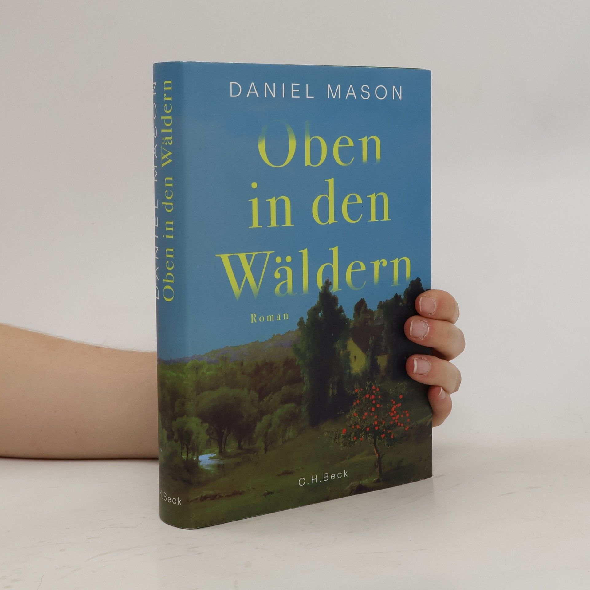 Daniel Mason Oben in den Wäldern