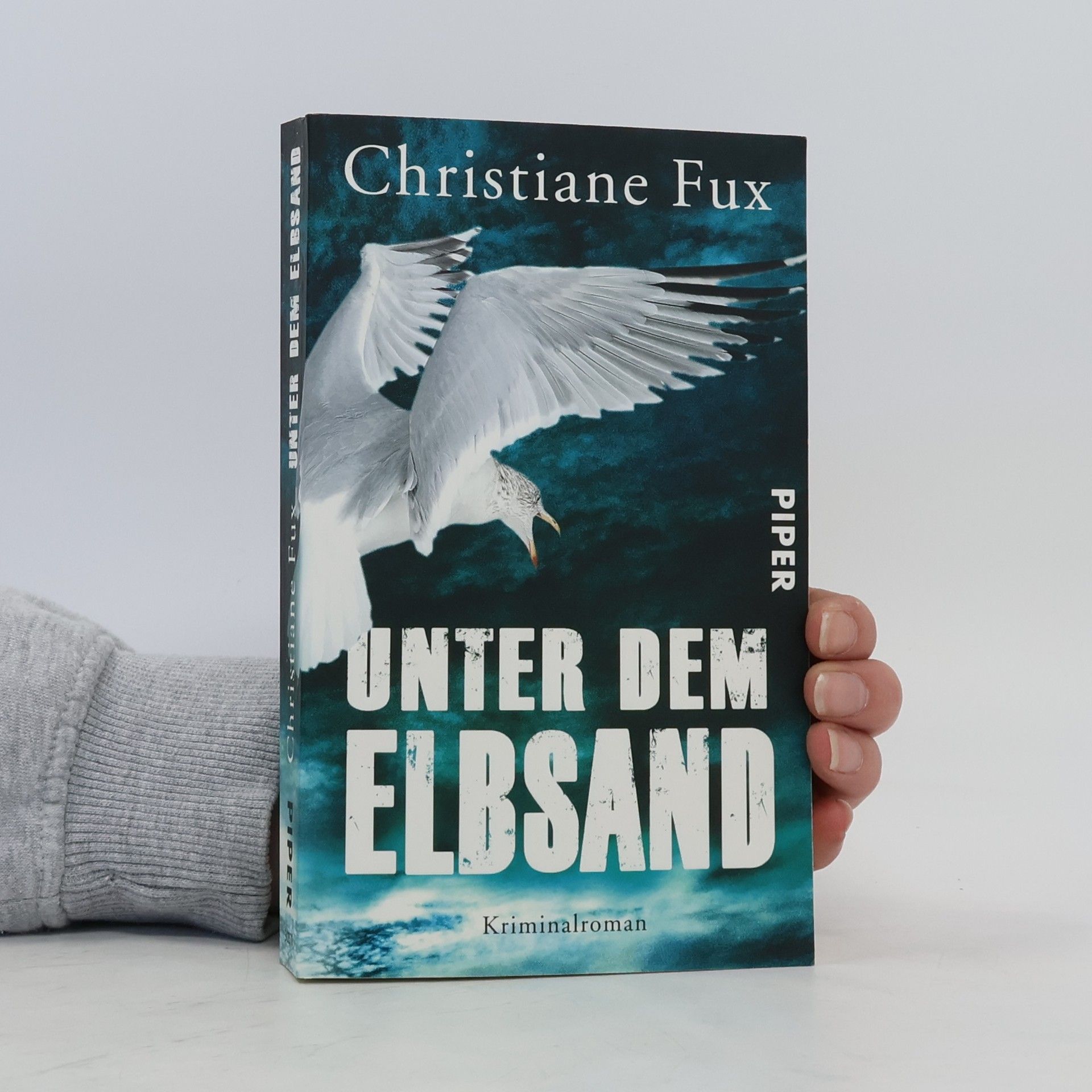 Christiane Fux Unter dem Elbsand