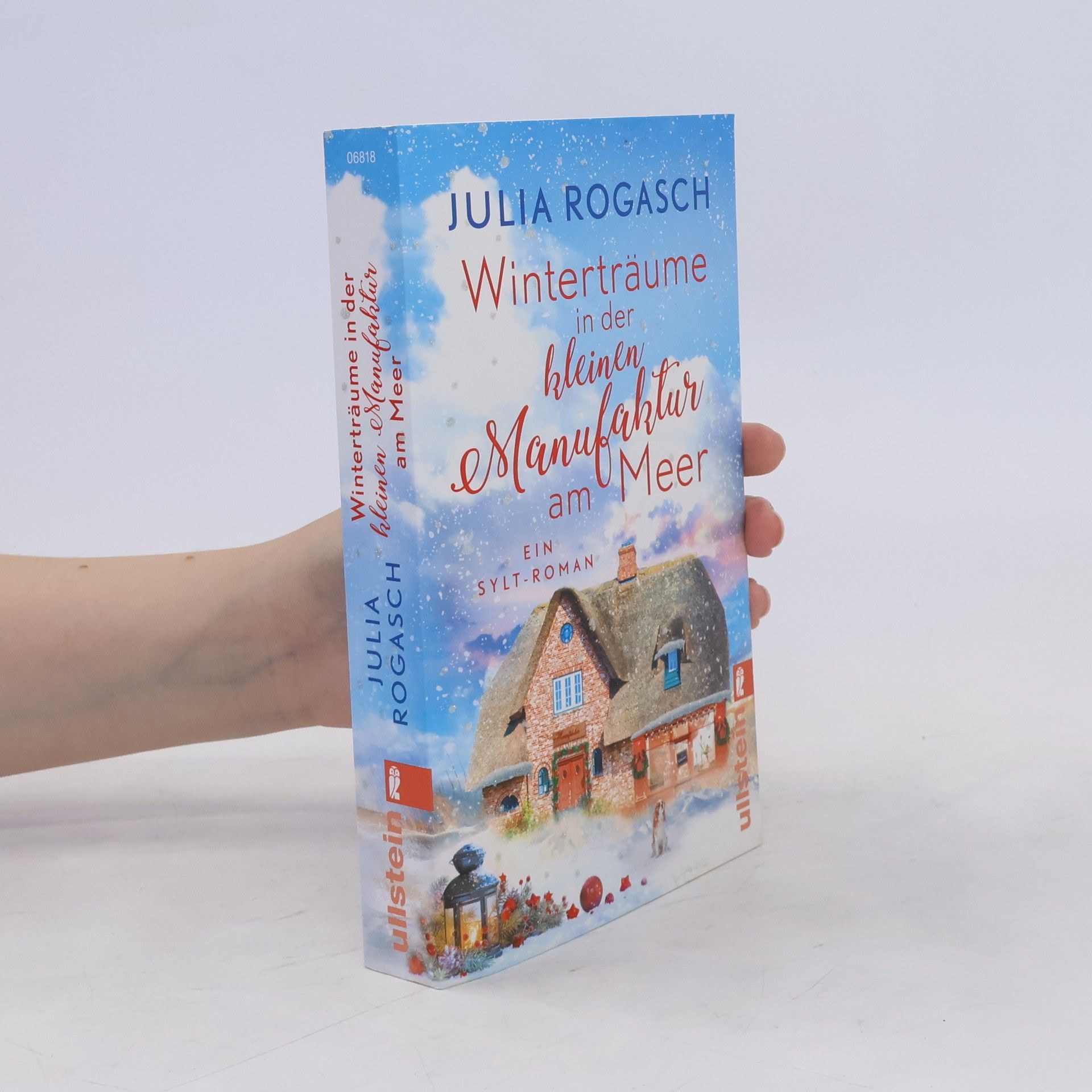 Julia Rogasch Winterträume in der kleinen Manufaktur am Meer