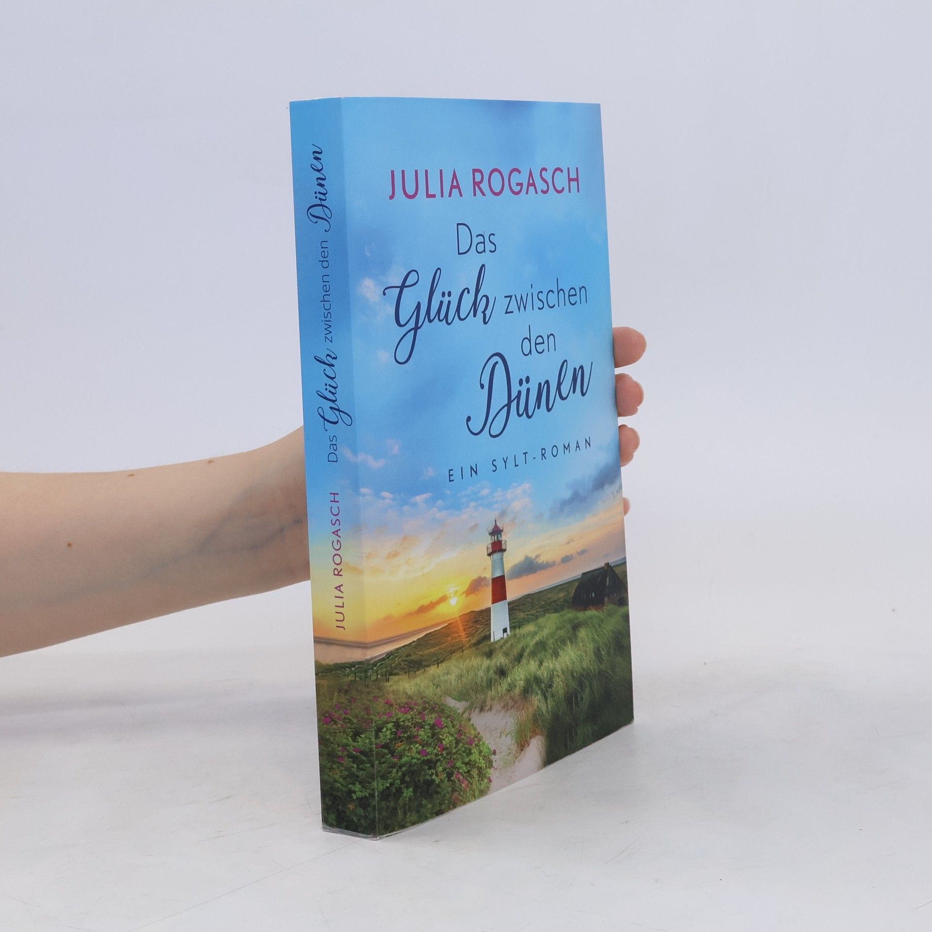 Julia Rogasch Das Glück zwischen den Dünen