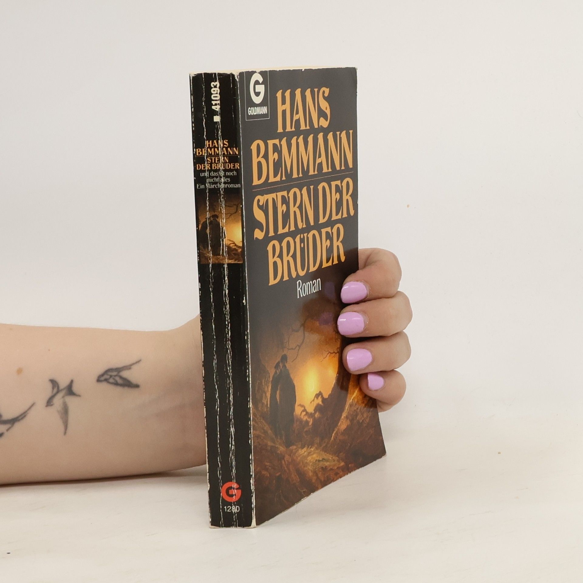 Hans Bemmann Stern der Brüder