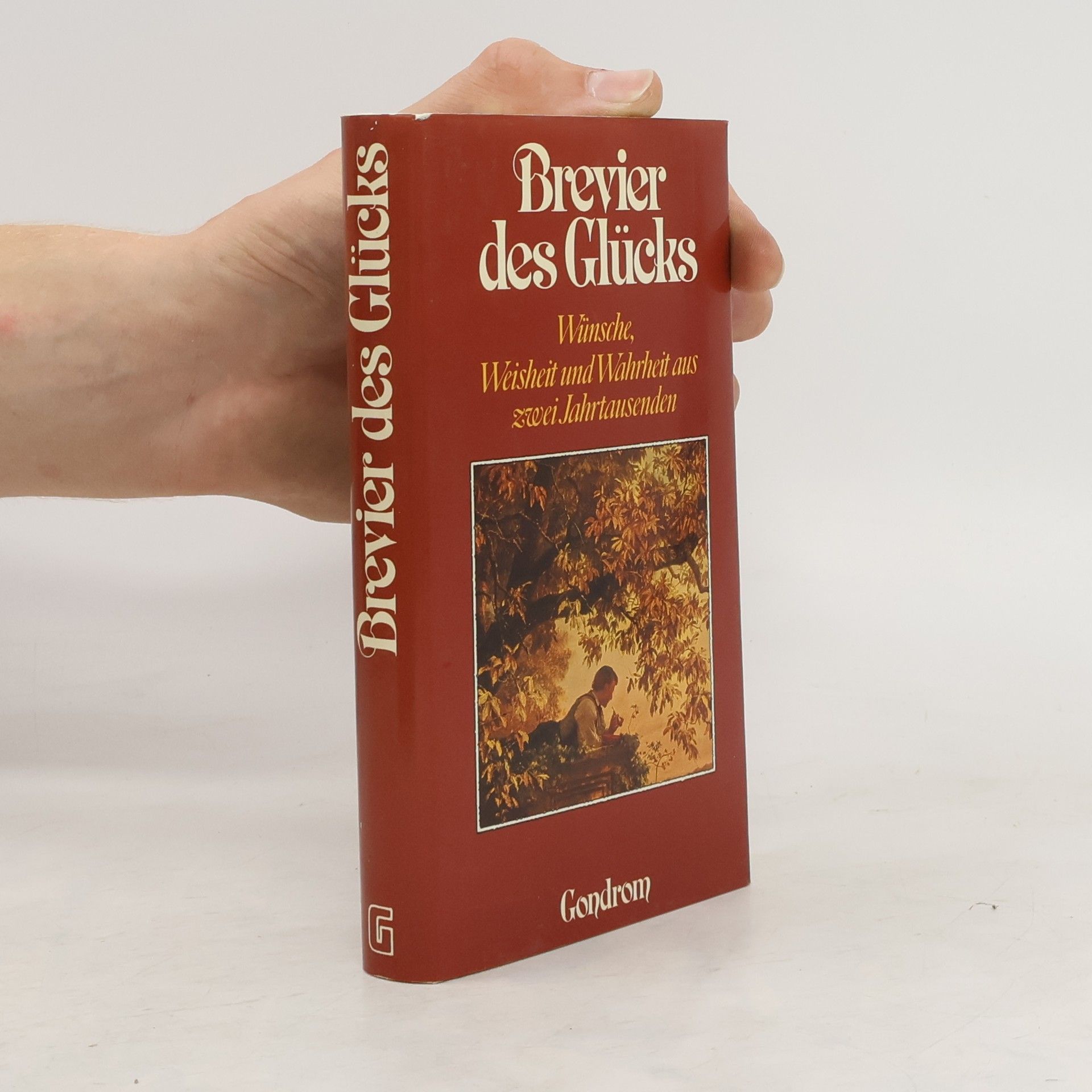 Dorothee Fetzer Brevier des Glücks
