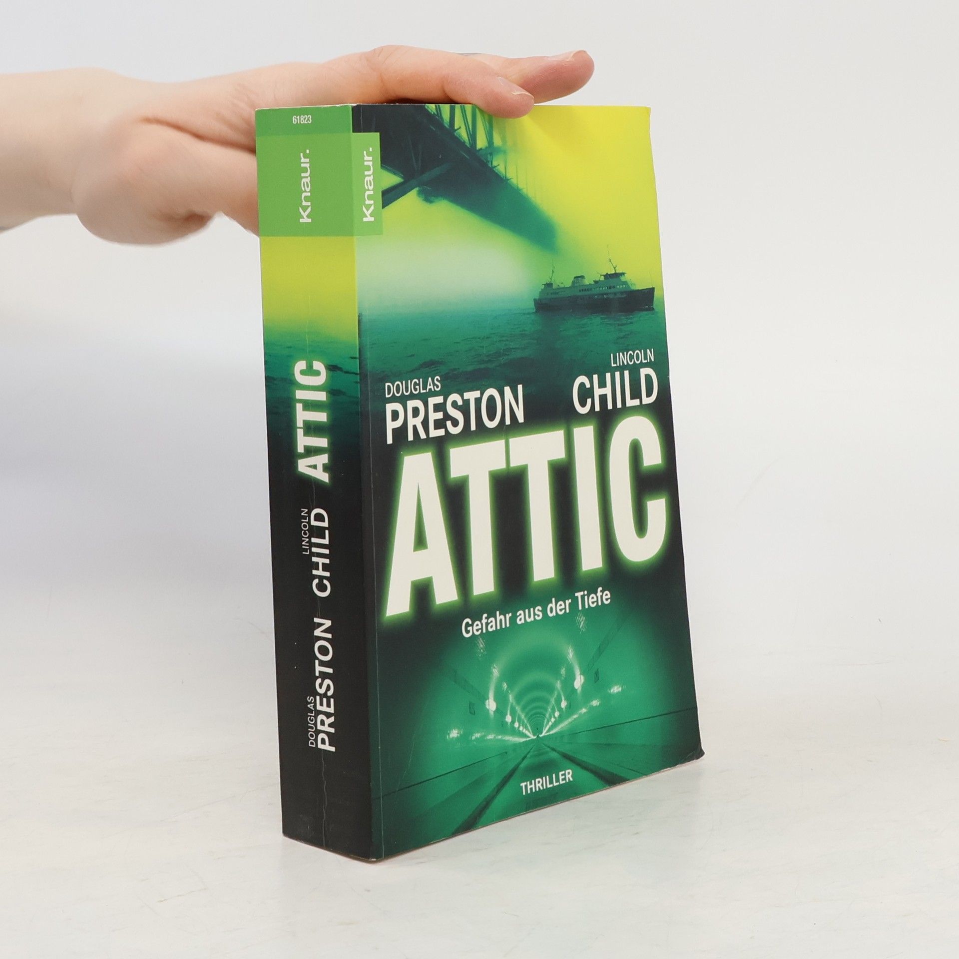 Lincoln Child Attic. Gefahr aus der Tiefe