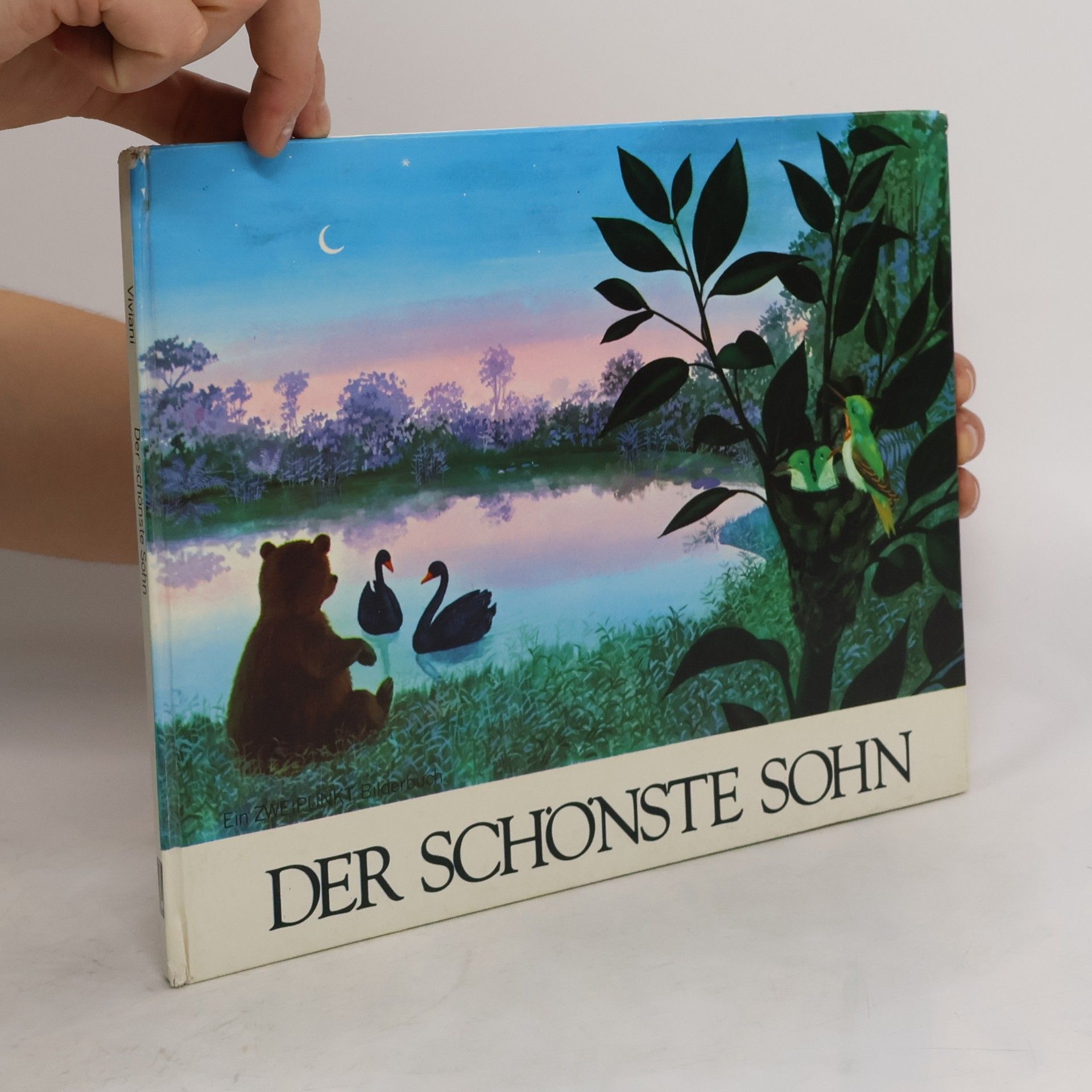 Collectif d'auteurs Der schönste Sohn