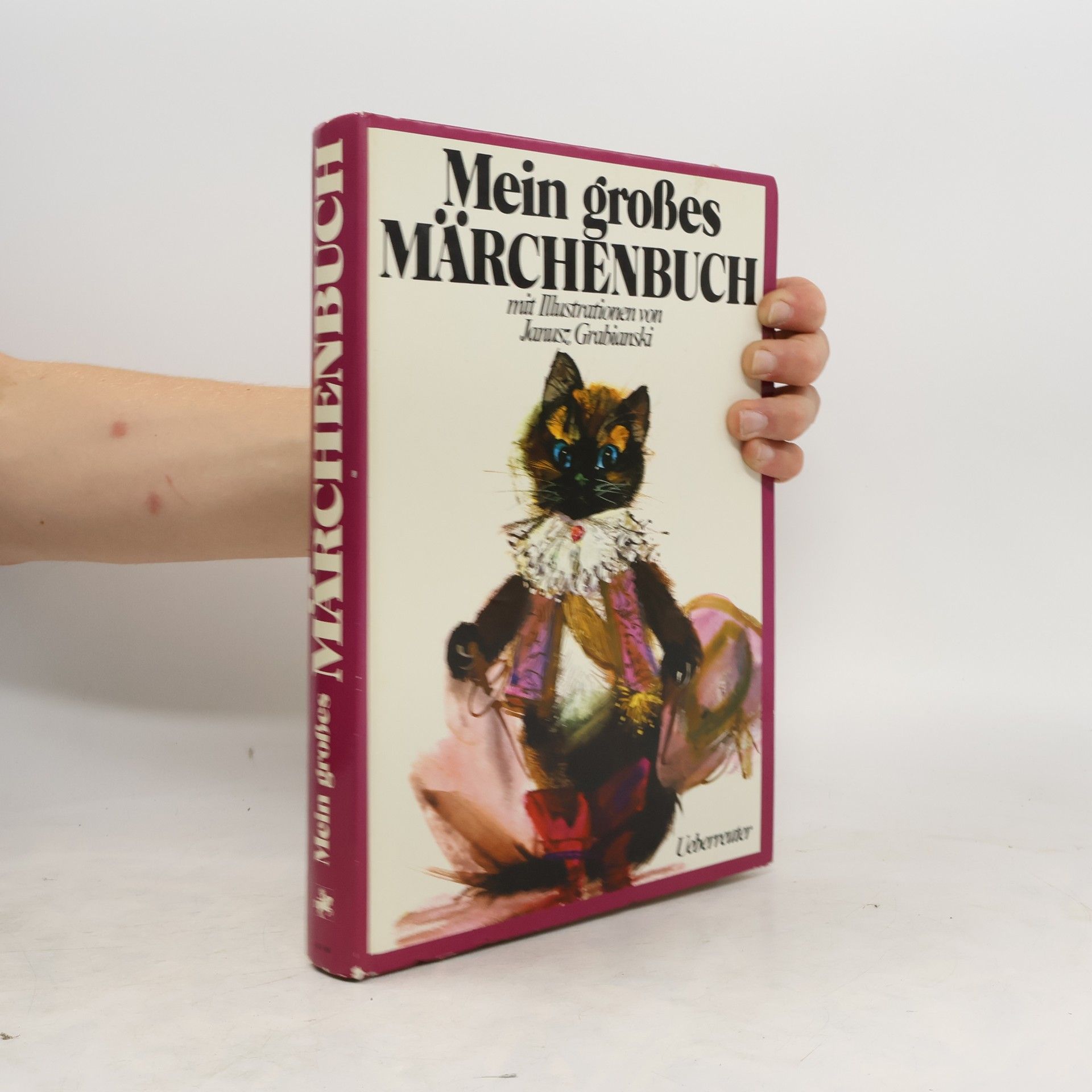 Janusz Grabiański Mein großes Märchenbuch
