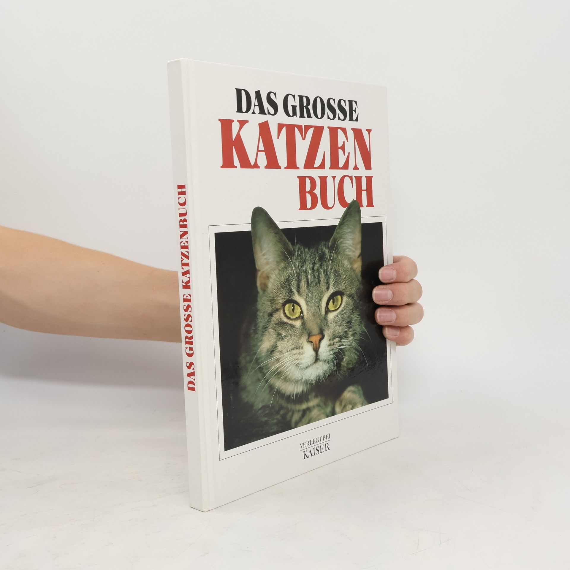 Anna Sproule Das grosse Katzenbuch