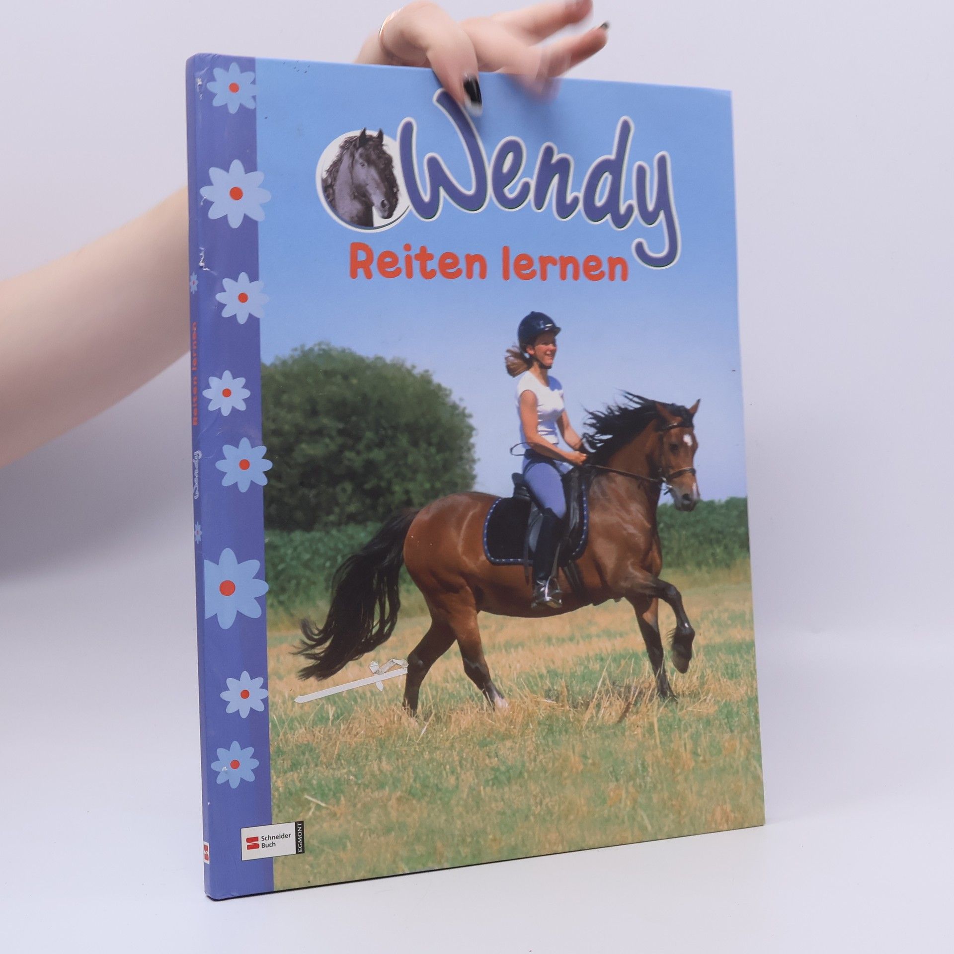 Wiebke Krabbe Wendy - Reiten lernen