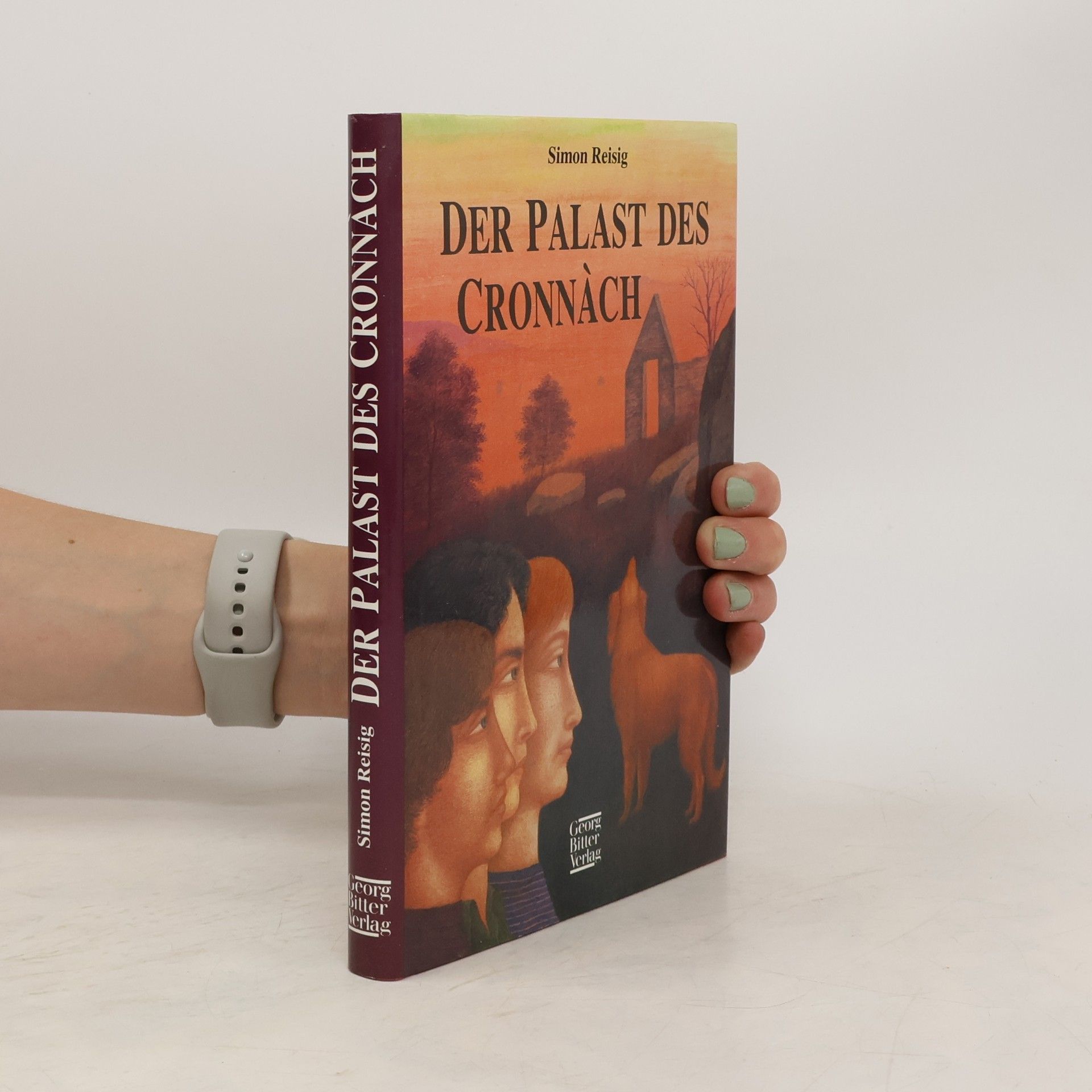 Simon Reisig Der Palast des Cronnàch