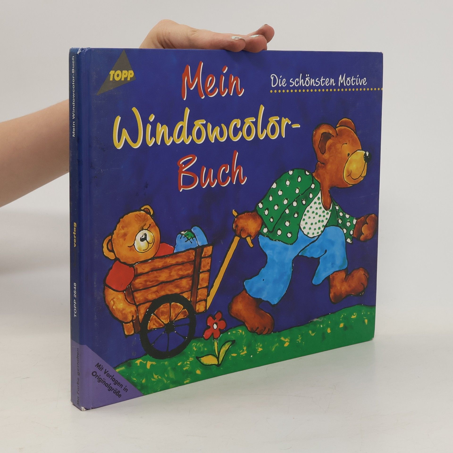 kolektiv Mein Windowcolor-Buch