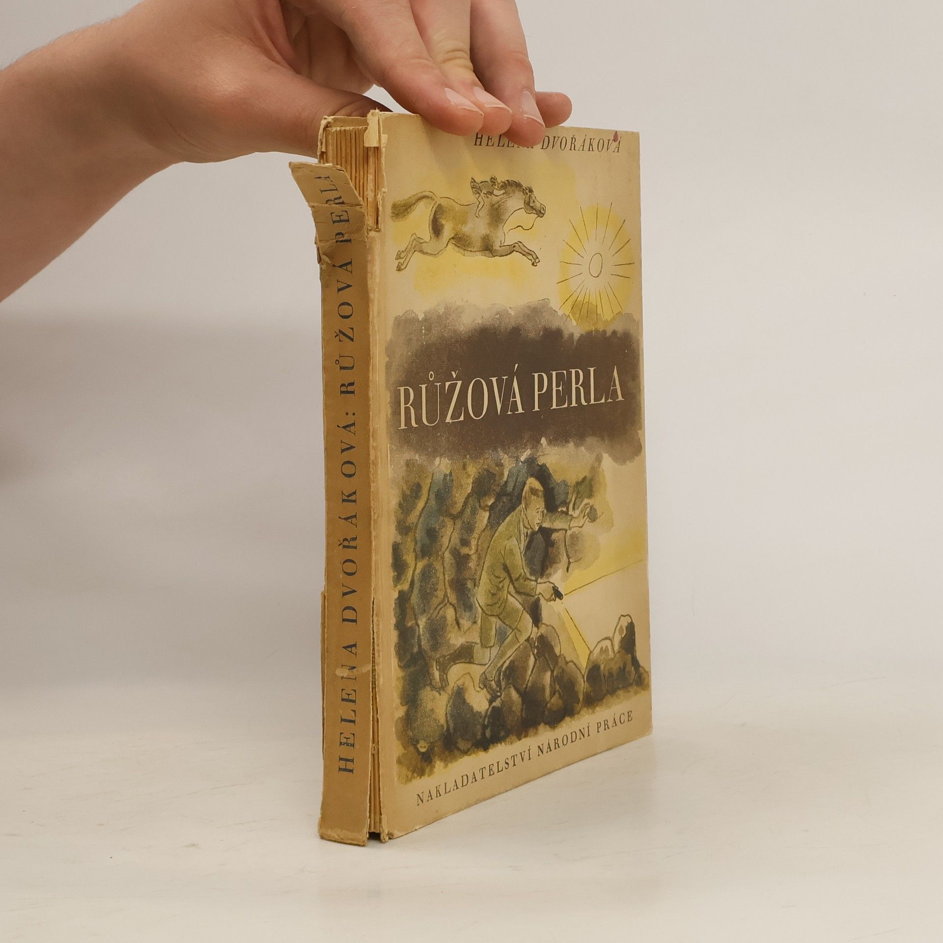 Helena Dvořáková Růžová perla