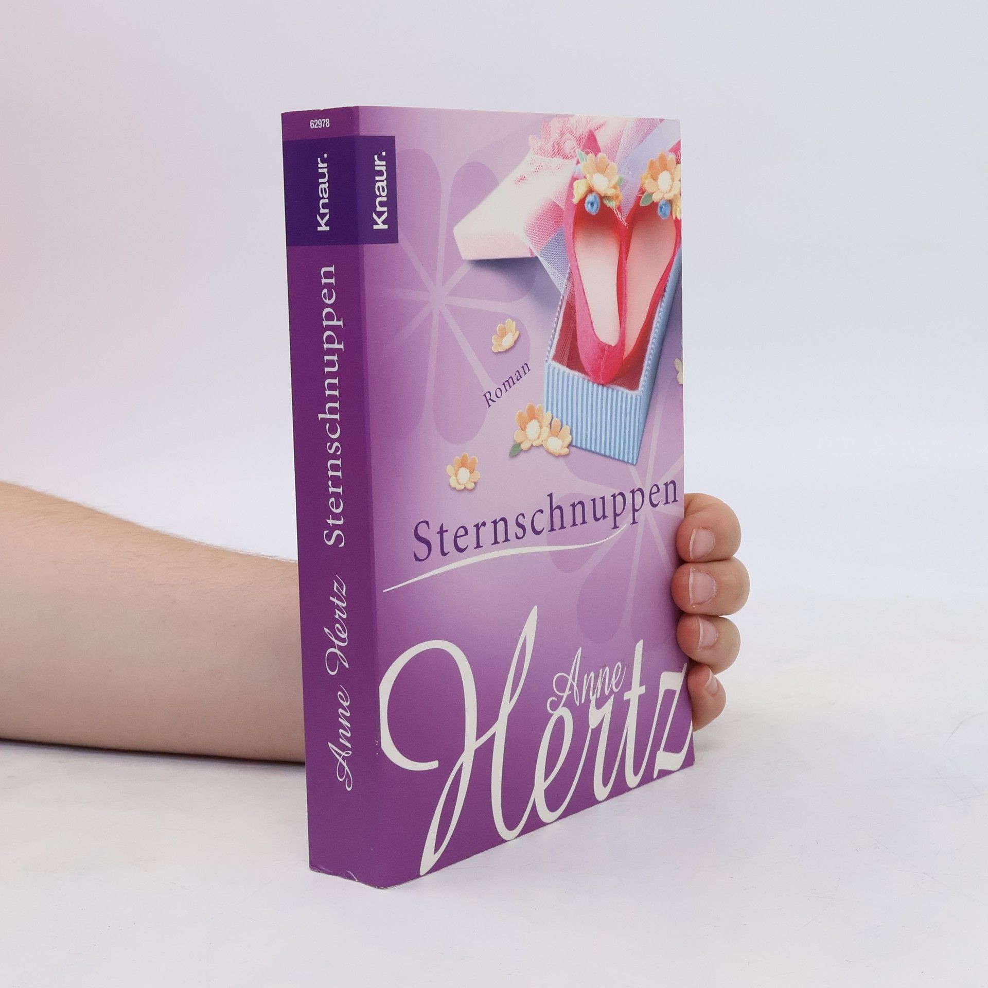 Anne Hertz Sternschnuppen