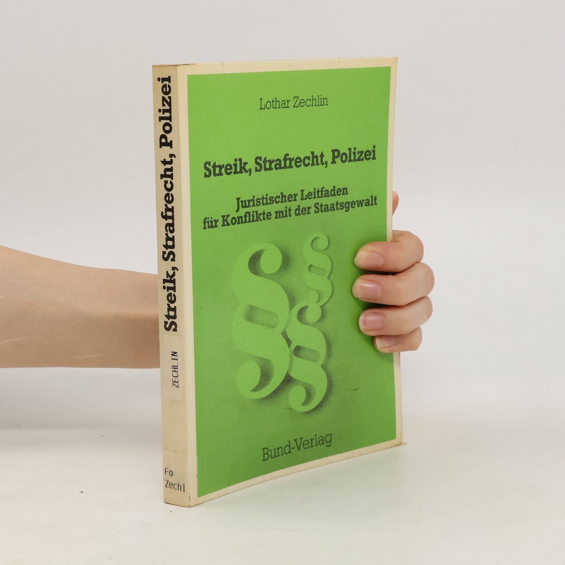 Lothar Zechlin Streik, Strafrecht, Polizei
