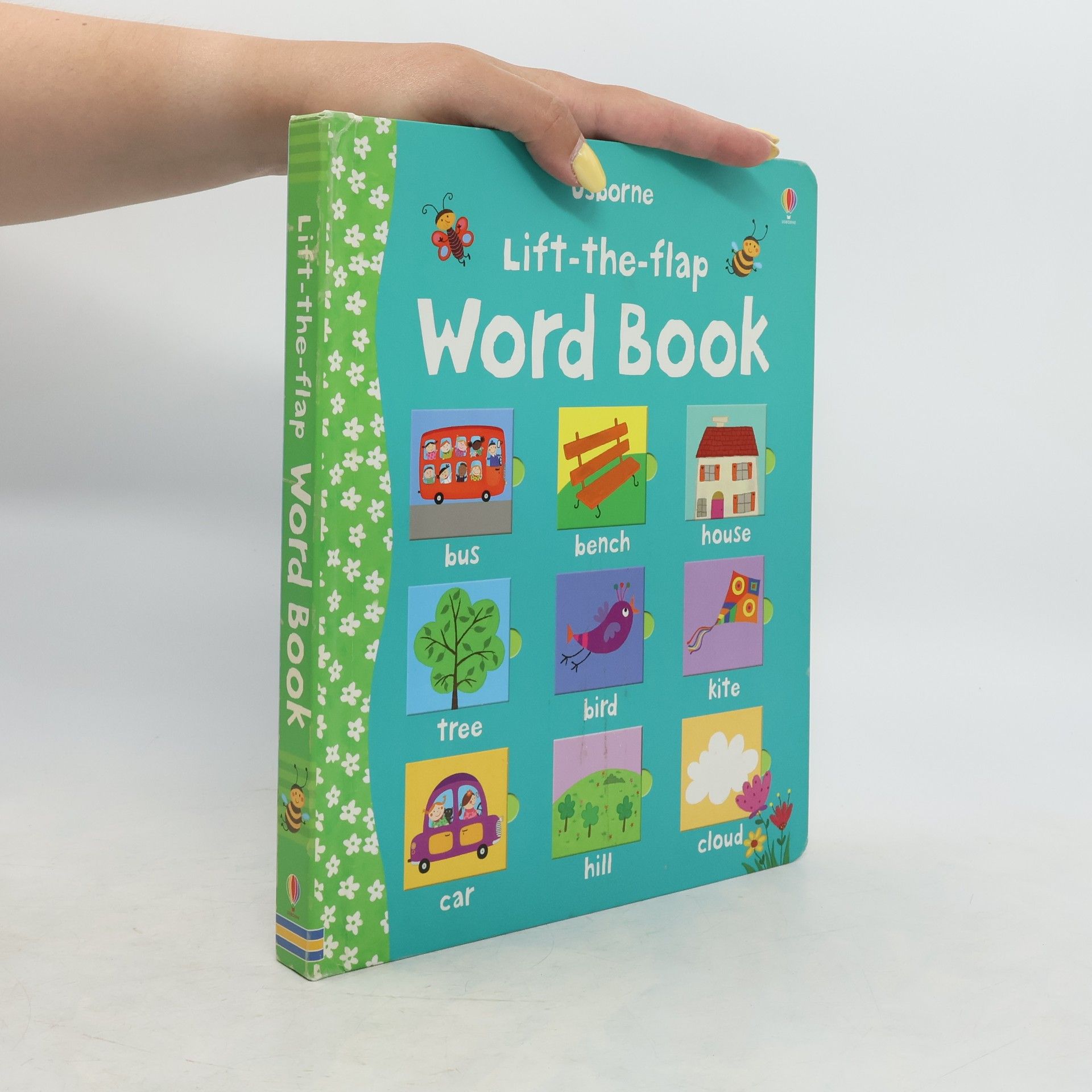Felicity Brooks Lift-the-flap : Word book