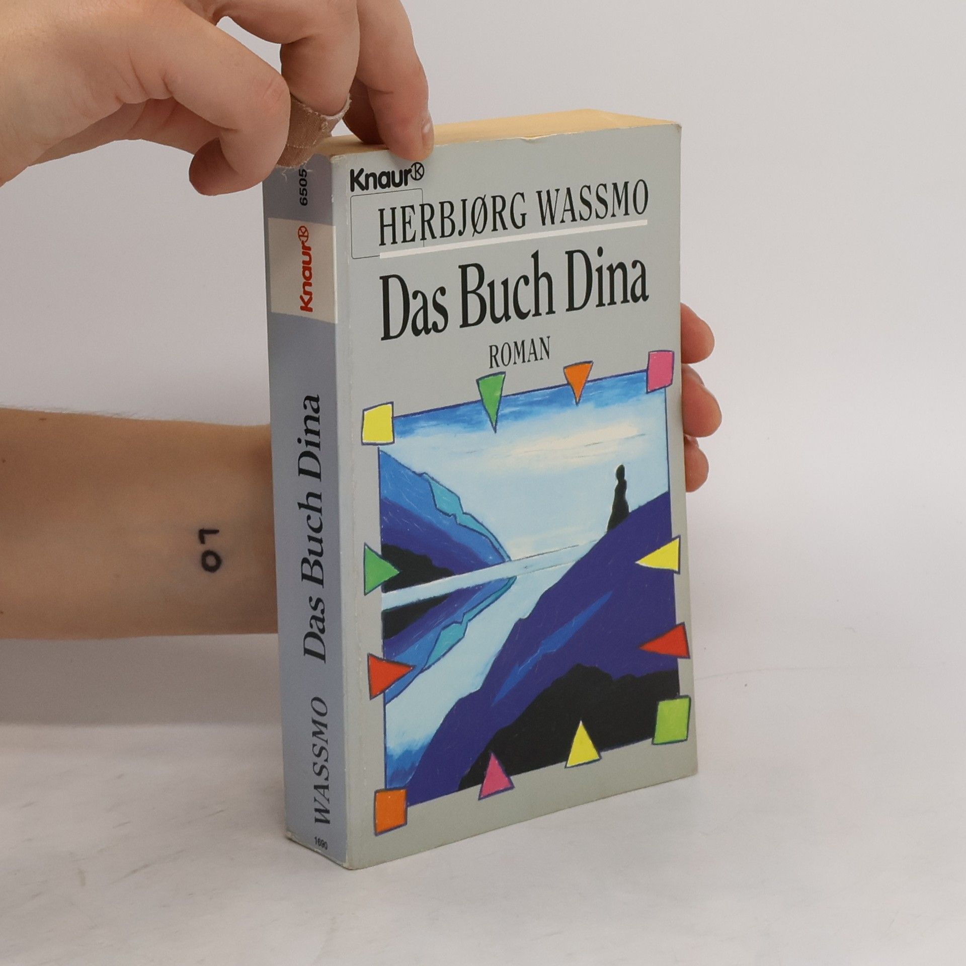 Herbjørg Wassmo Das Buch Dina