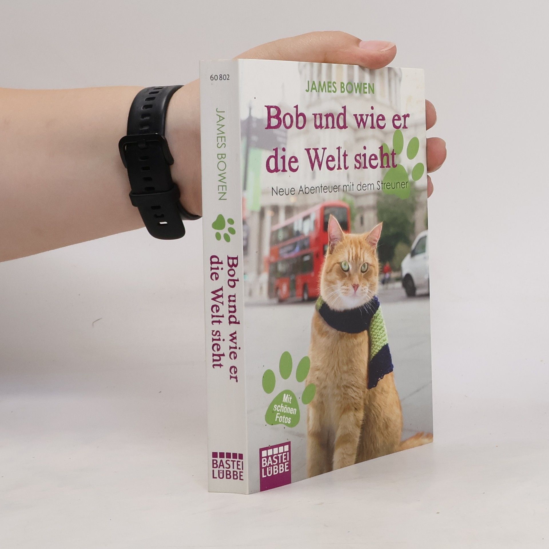 James Bowen Bob und wie er die Welt sieht