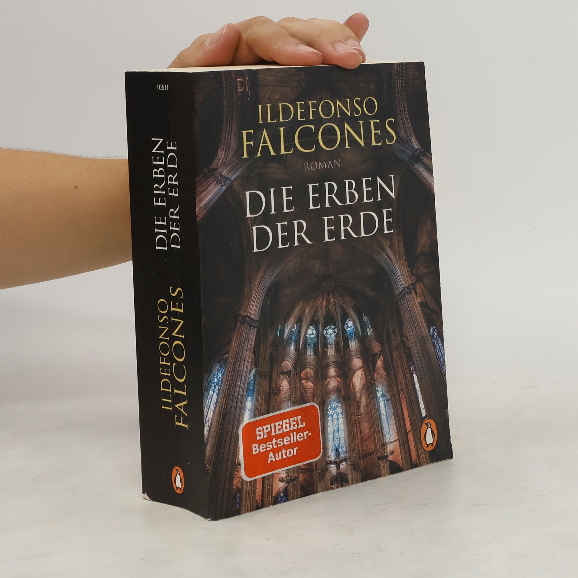Ildefonso Falcones Die Erben der Erde