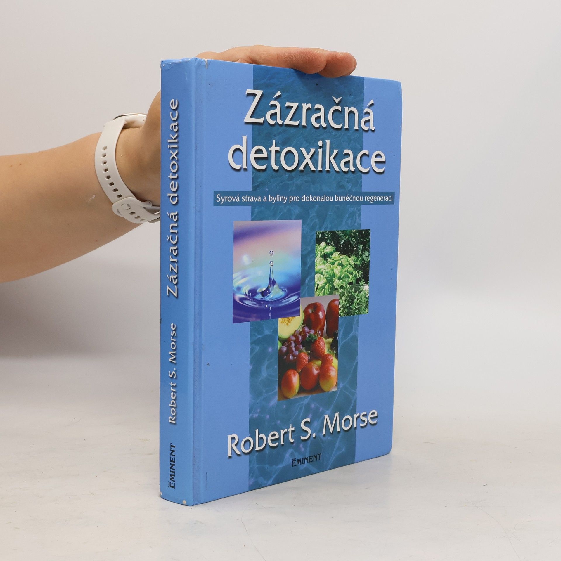 Robert Morse Zázračná detoxikace