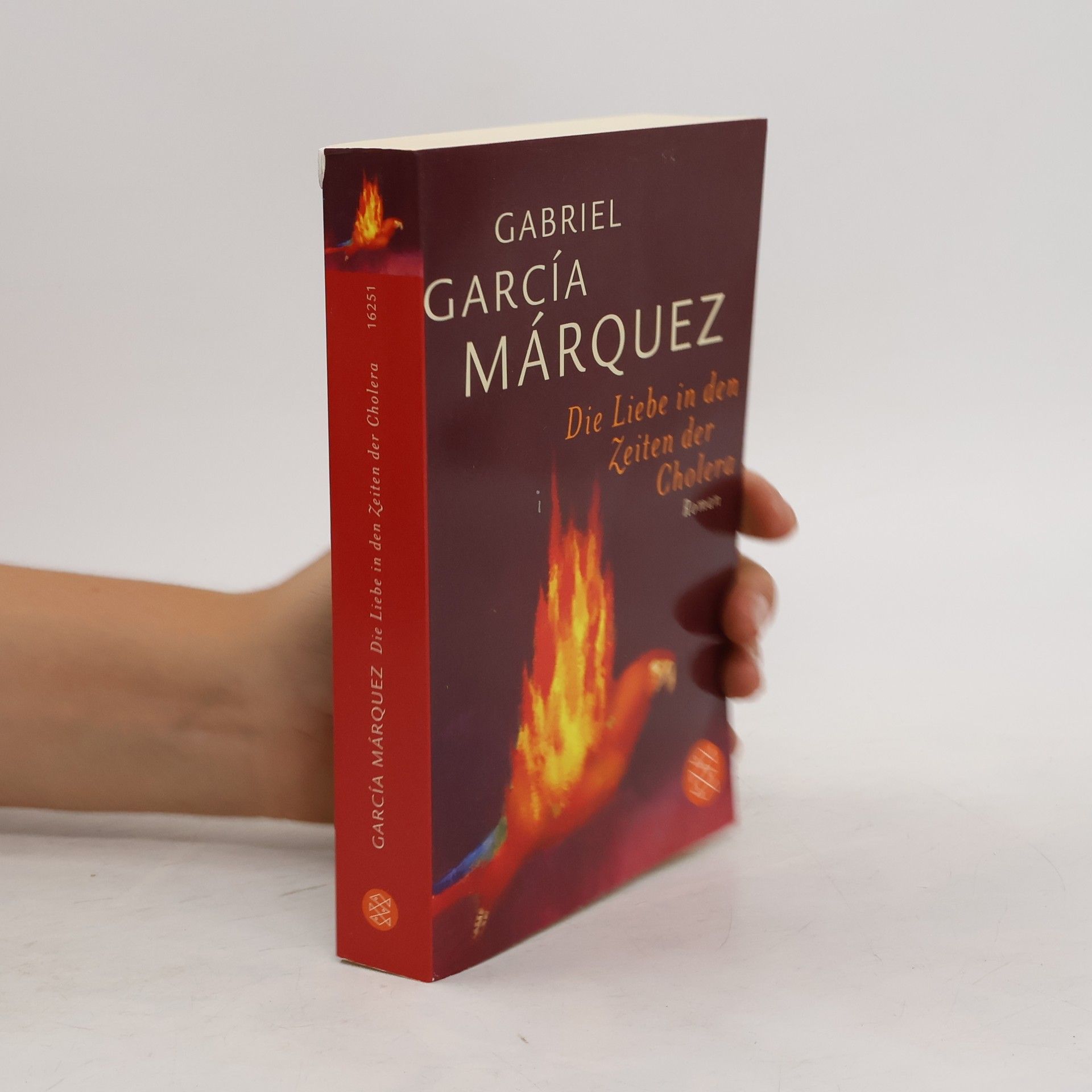 Gabriel García Márquez Die Liebe in den Zeiten der Cholera