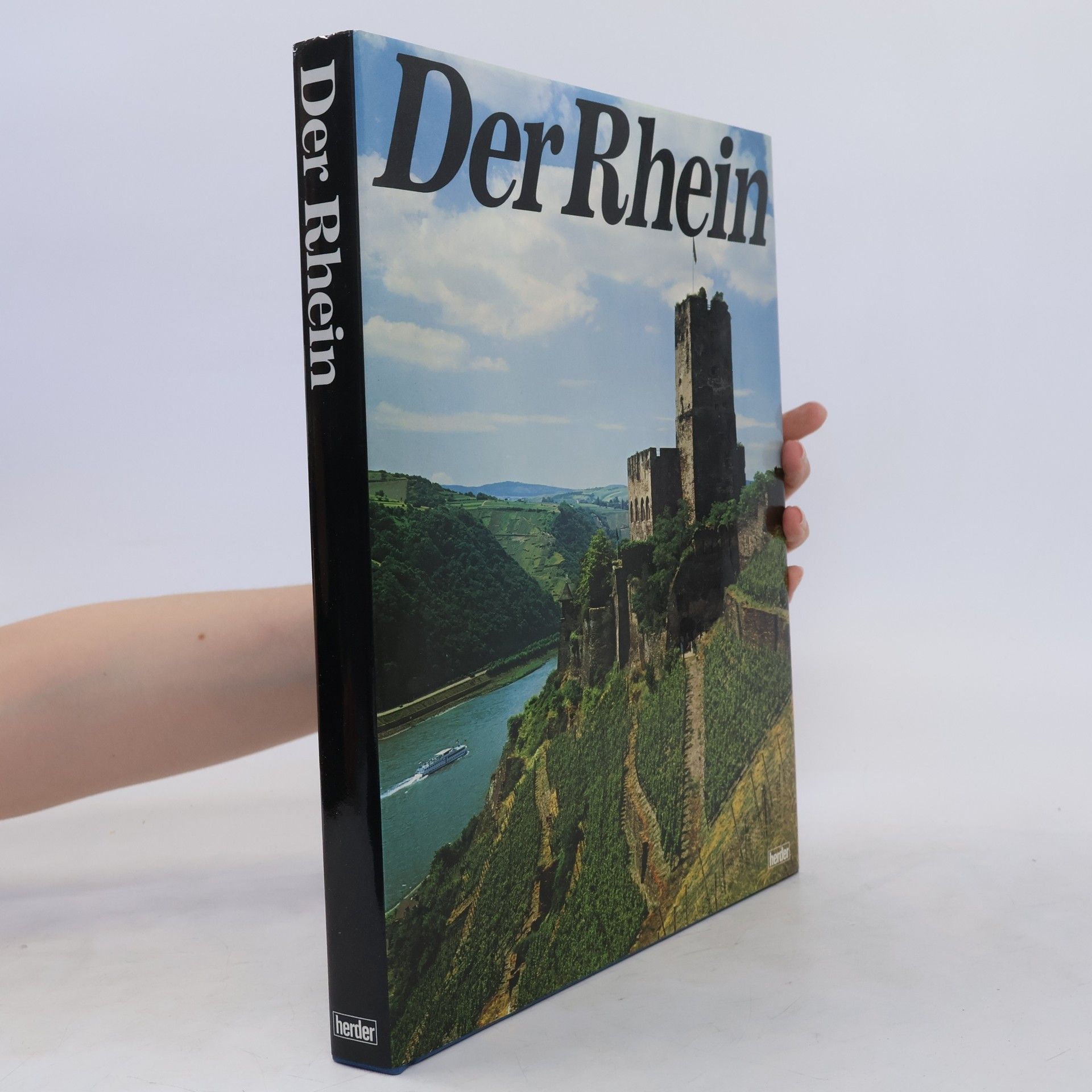 Toni Schneiders Der Rhein