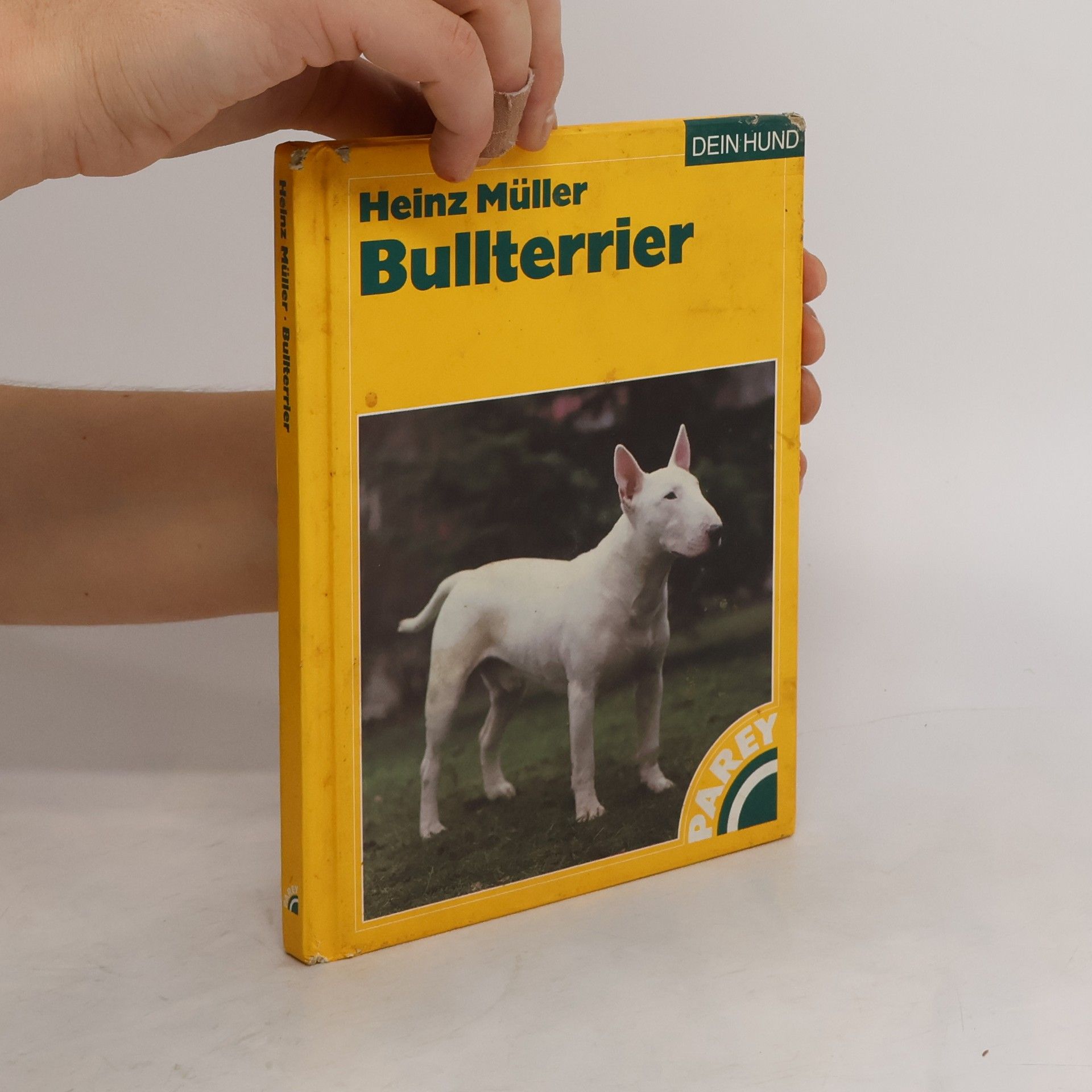 Heinz Müller Bullterrier