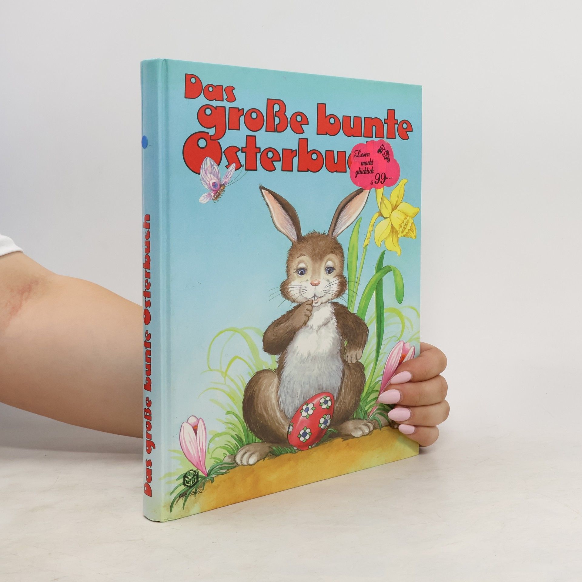 Anne Suess Das grosse bunte Osterbuch