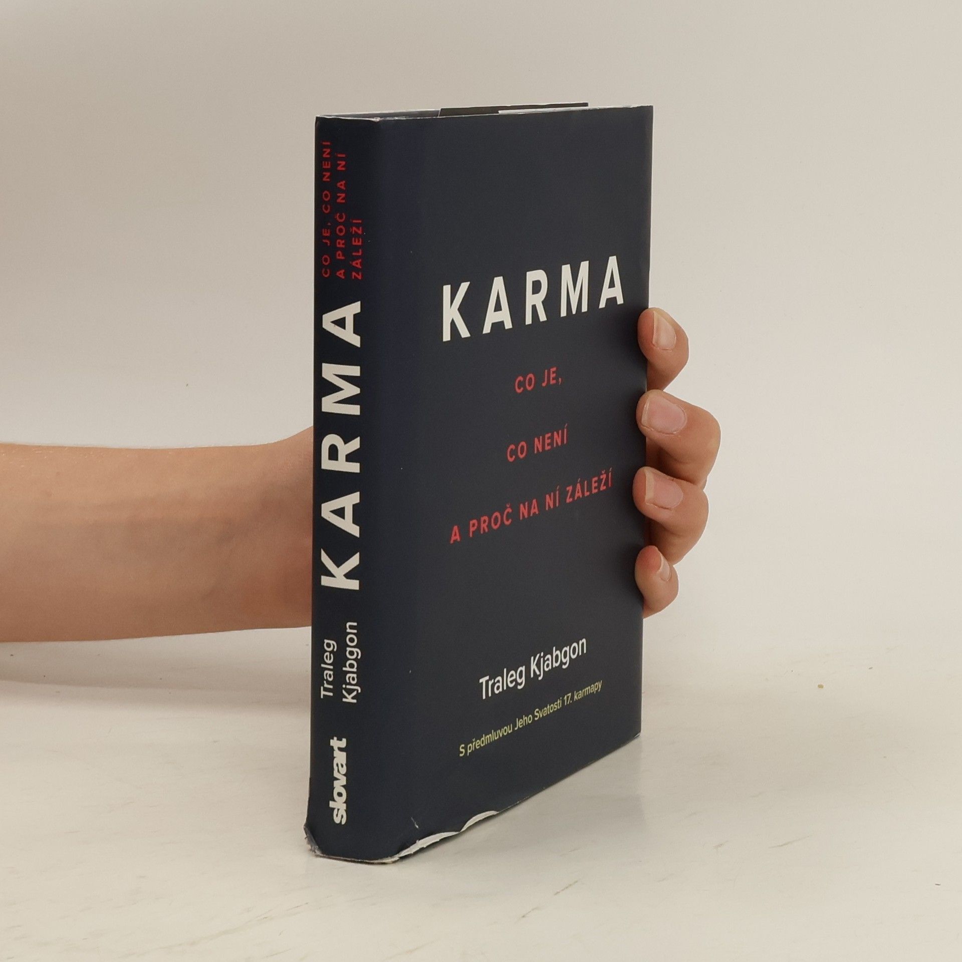 Traleg Kjabgon Karma: Co je, co není a proč na ní záleží