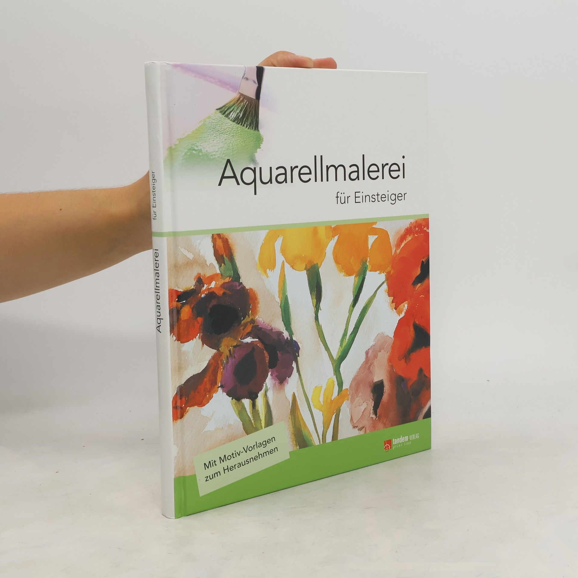 Autorenkollektiv Aquarellmalerei für Einsteiger