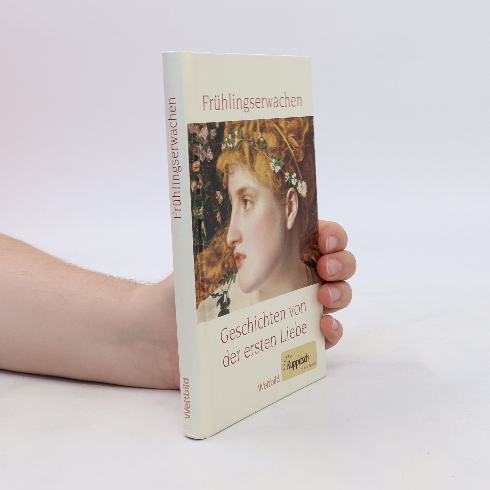 Felicitas Bovis Frühlingserwachen