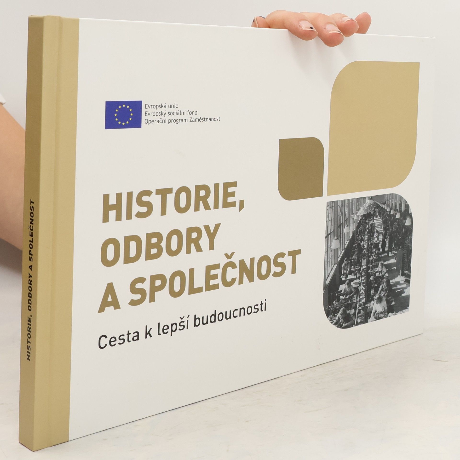Collectif d'auteurs Historie, odbory a společnost : cesta k lepší budoucnosti